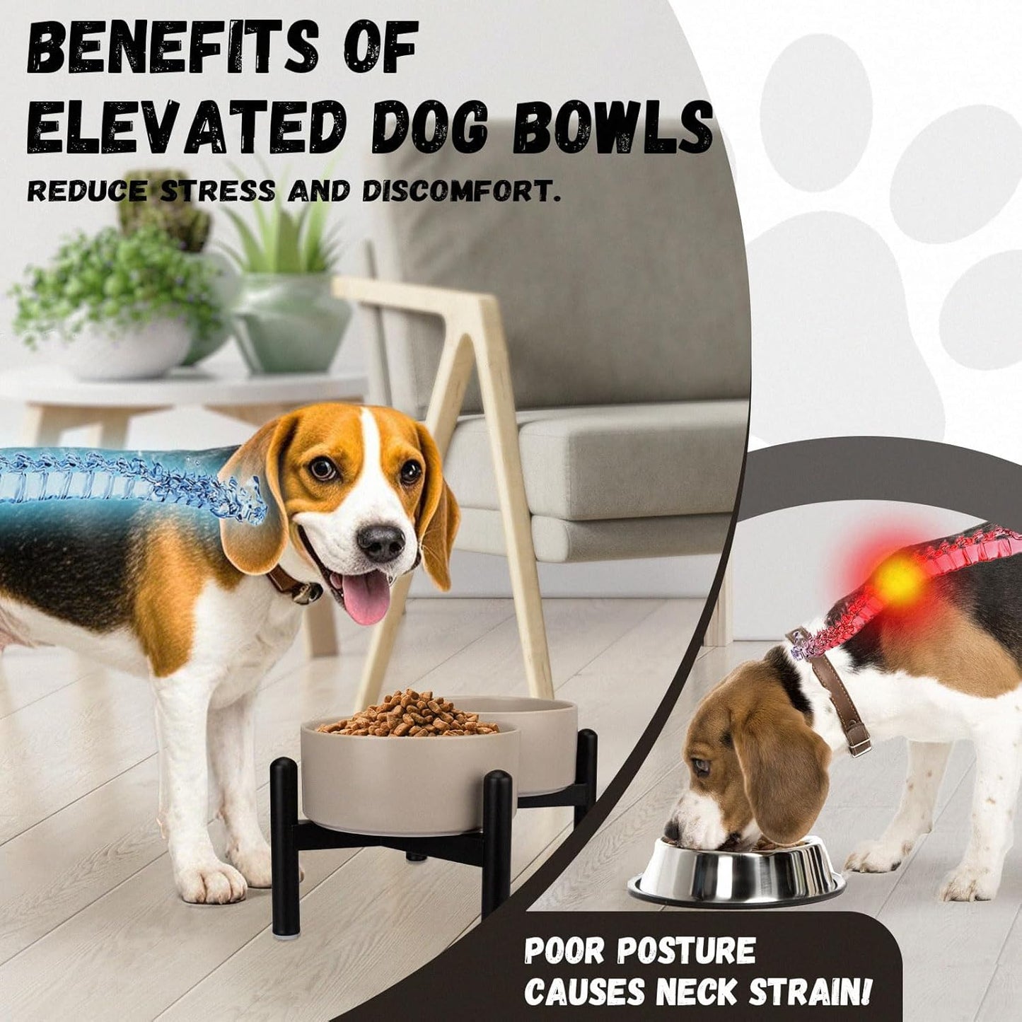 Raised Ceramic Dog Bowl Set - Elevated Double Dishes with Stainless Steel Stand - Food and Water Bowls for Small to Medium Dogs - Each Holds 2 Cups (28.75 fl oz) - Black