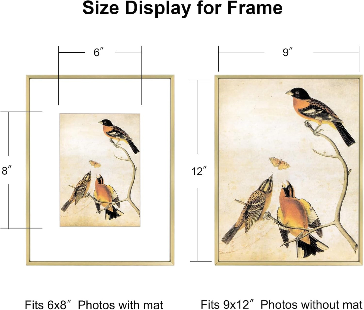 9x12 Picture Frame, Brass Metal Photo Frames with HD Glass, Fits 6x8 with Mat or 9 x 12 without Mat, Display for Wall and Table, 1 Pack