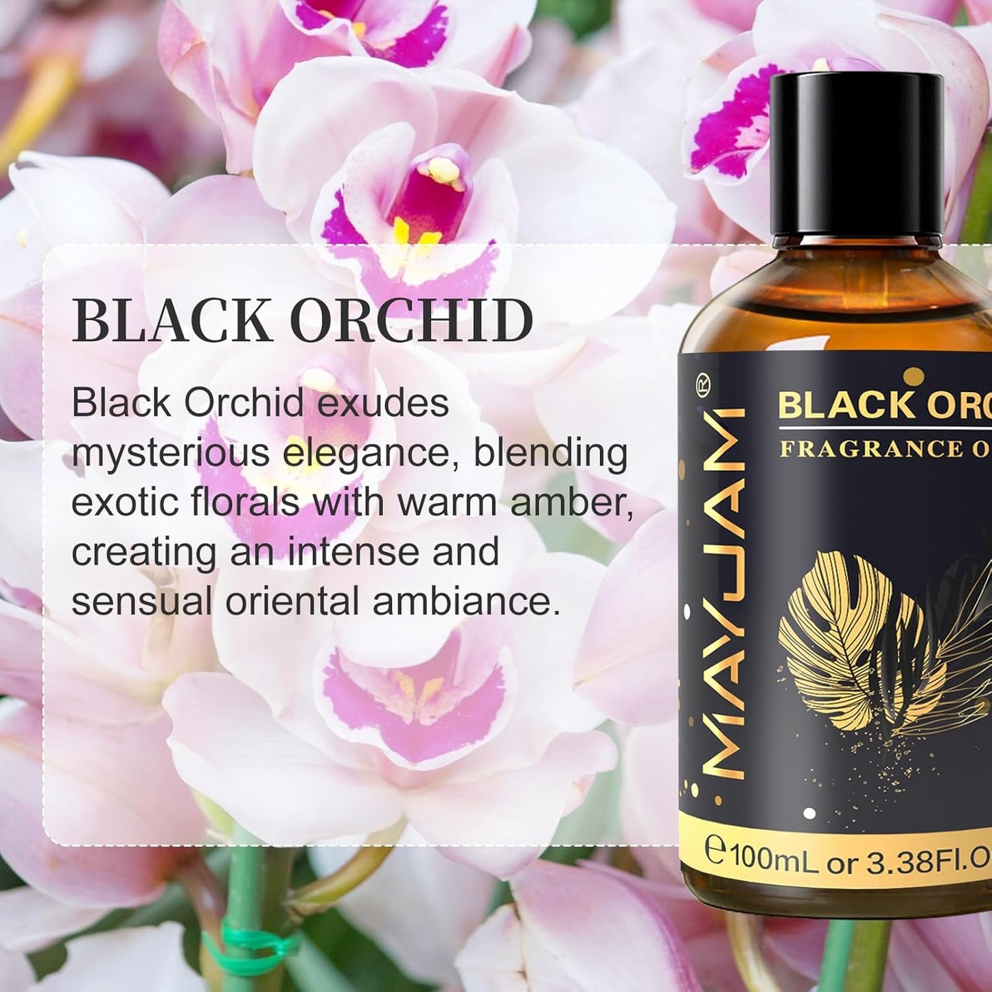 MAYJAM 100ML/3.38FL.OZ Black Orchid Fragrance Oils with Glass Dropper, Essential Oils for Diffusers for Home, Long Lasting Scented Oils for Diffusers Soap Candle Making
