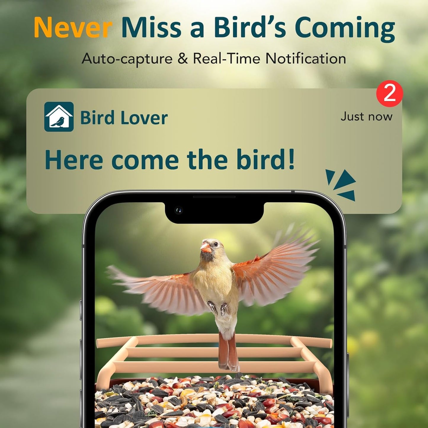 BIRDLEGEND® BL01 Bird Feeder with Camera Solar Powered, Free AI Smart Camera Bird Feeder with 64GB Card DIY Add-ons 1080P Live Auto Capture Videos Pictures, Gifts for Birdlover Mom Dad, 2.4GHz WiFi