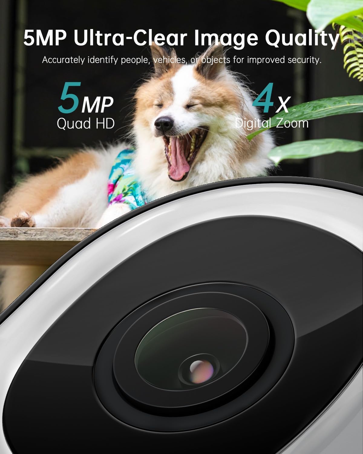 ZUMIMALL 5MP 5G WiFi Security Camera 2-Pack Black, 24/7 Recording, 360° PTZ Auto Tracking, Support SD Storage, Color Night Vision, AI Detection, 2-Way Talk, Compatible with Alexa & Cloud Edge