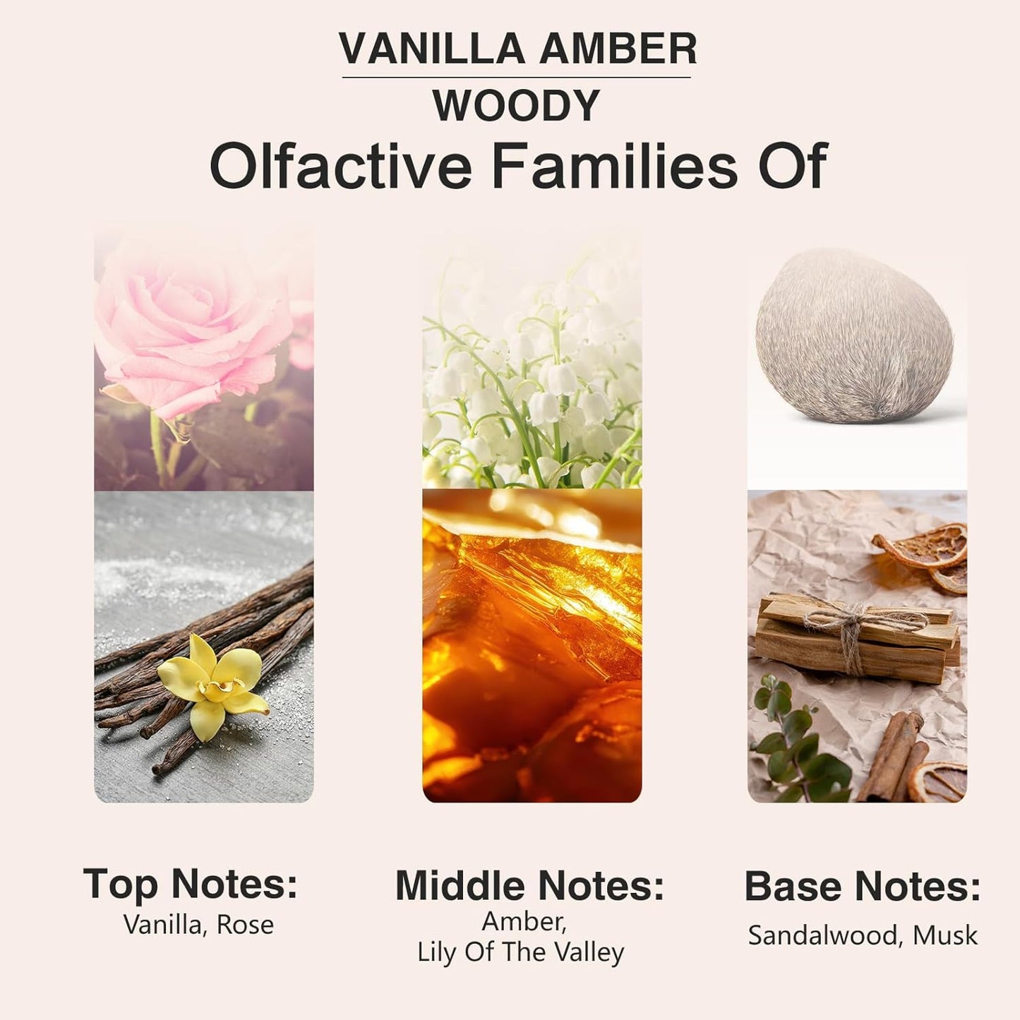 PHATOIL 3.38FL.OZ Vanilla Amber Fragrance Oils for Aromatherapy, Essential Oils for Diffusers for Home, Perfect for Diffuser, Yoga, Skin Care, DIY Candle and Soap Making - 100ml