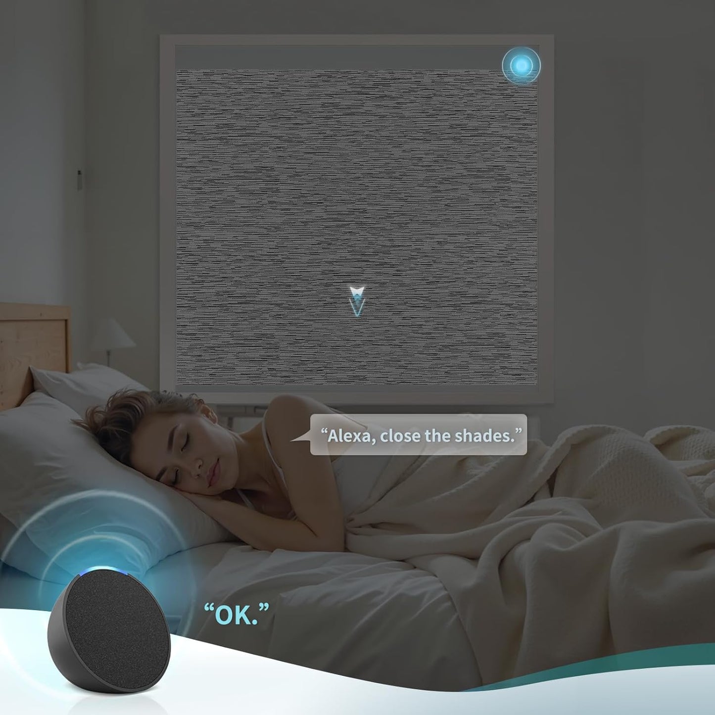 Motorized Blinds with Remote Custom Size Blackout Smart Roller Shades Compatible with Alexa Google, Electric Blinds for Windows