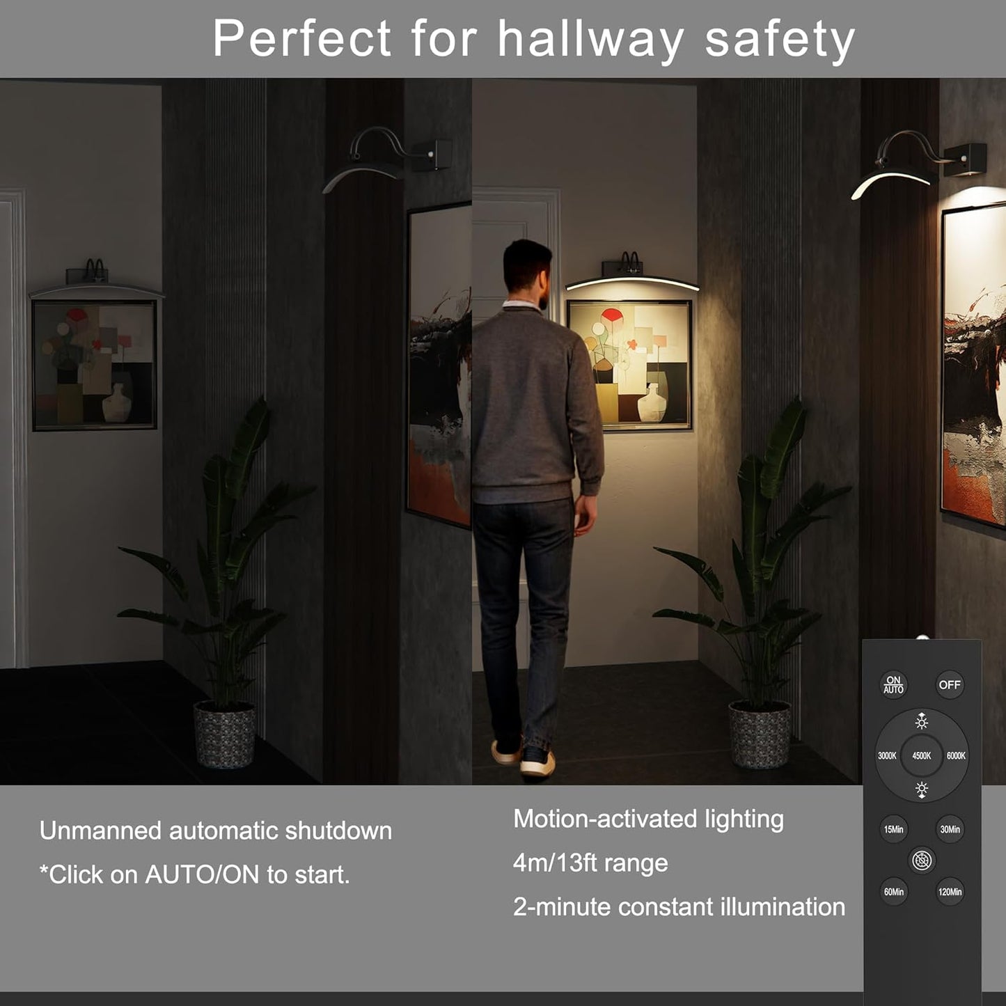 PAIHOME Lights for Pictures on Wall, Rechargeable Picture Light with Smart Motion Sensor, Remote Dimmable & Timer, ‌16in Wireless Black Art Lighting for Paintings Canvas, Gallery, Portraits