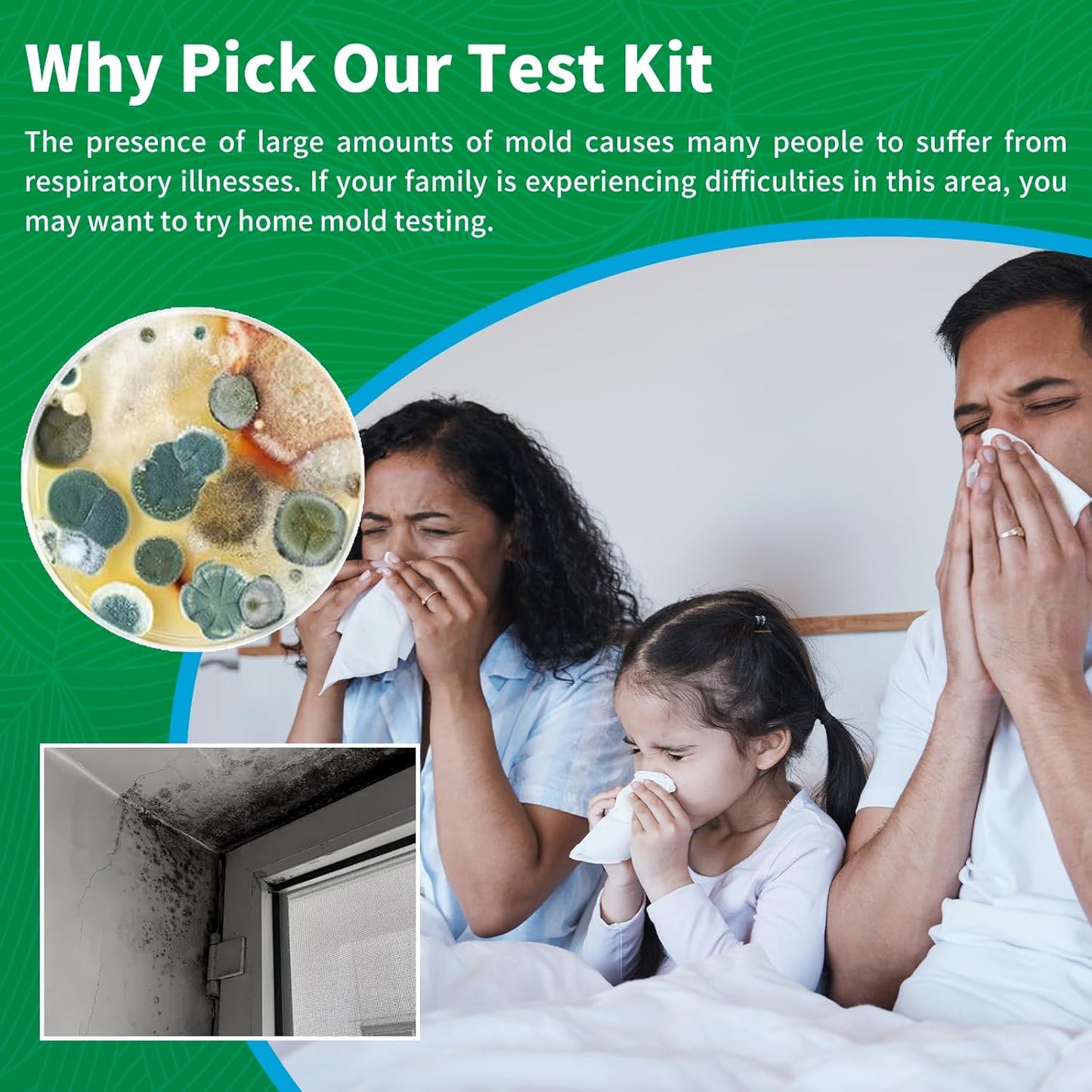 Mold Test Kit for Home -12 Simple Mold Test kit,Test HVAC System,Surfaces & Indoor Air Quality,DIY Mold Detector at Home,Includes Detailed Mold Identification Guide,air Tester