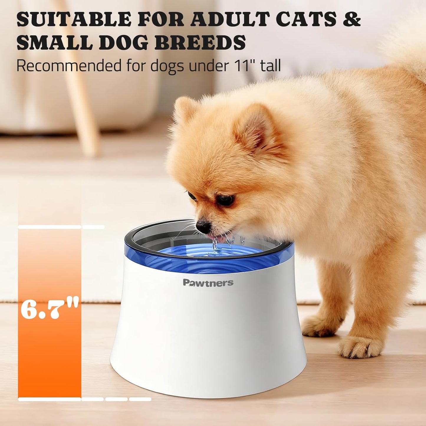 Pawtners Dog Water Fountain, 1 Gallon Dog Water Bowl Dispenser for Small Medium Large Cats, Automatic No Spill Dog Water Bowl with Vortex Filter, Deep Drinking Area and Quiet Pump