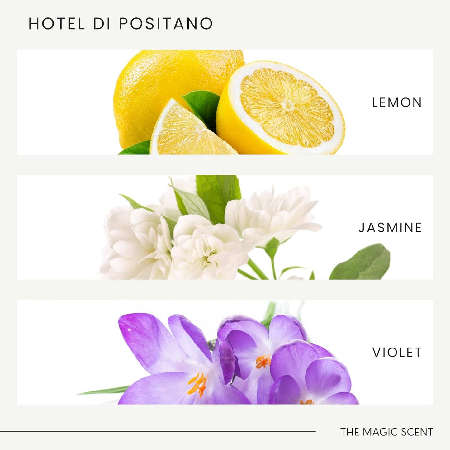 The Magic Scent Hotel Di Positano Diffuser Oil Scent - Cold-Air & Ultrasonic Fragrance Oil for Diffuser Inspired by Amalfi Coast, Italy - Essential Oils for Diffusers Aromatherapy - 4 fl oz, 120 mL