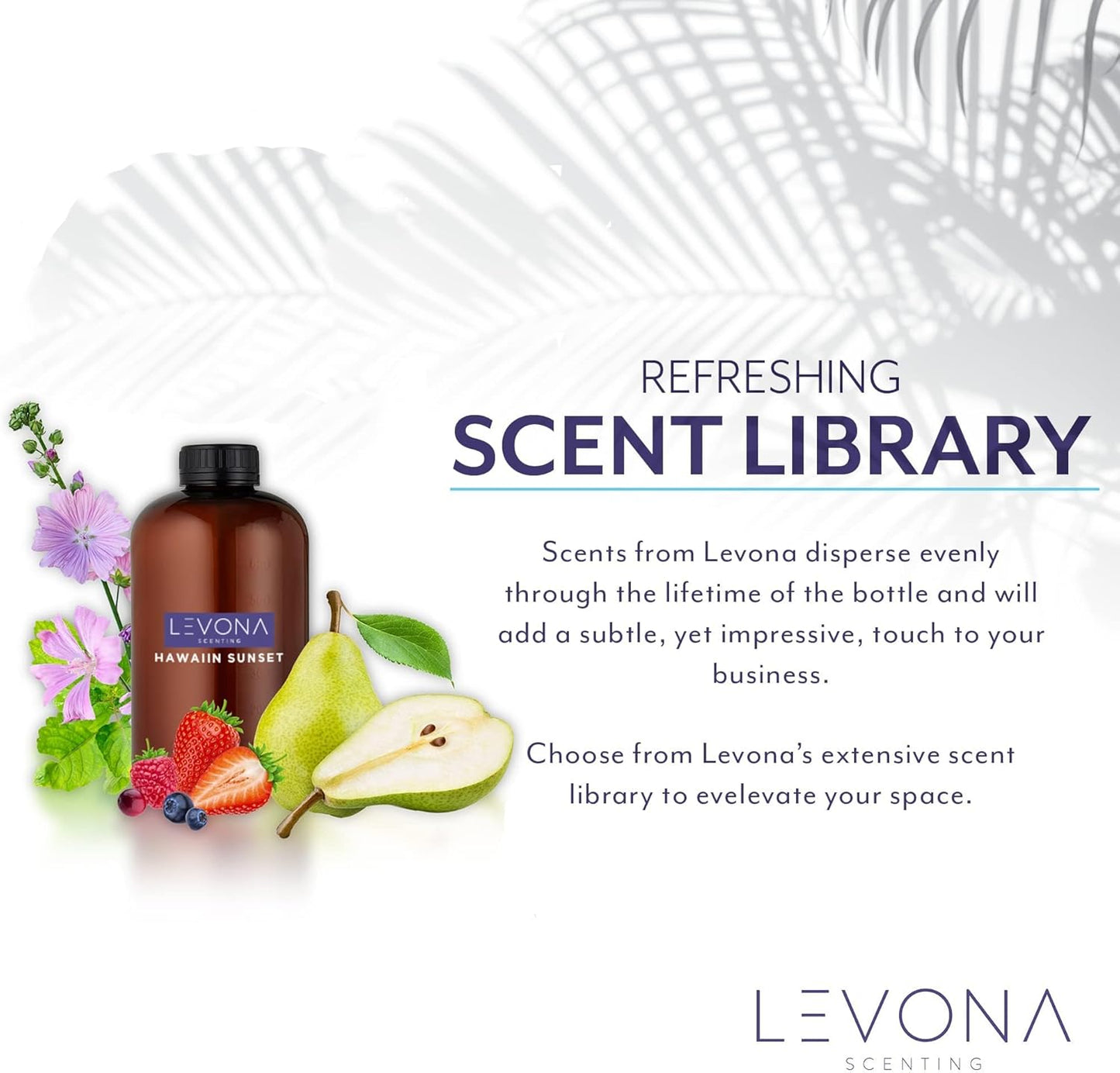 Levona Scent Essential Oil - Fresh Aroma for Home, Office, Hotel & Spa, Perfect in Humidifiers and Diffusers, Luxury Fragrance, with Bergamot, Pine, Rose, Earthy Notes - 10ml/ 0.33 fl oz, Miami Dreams