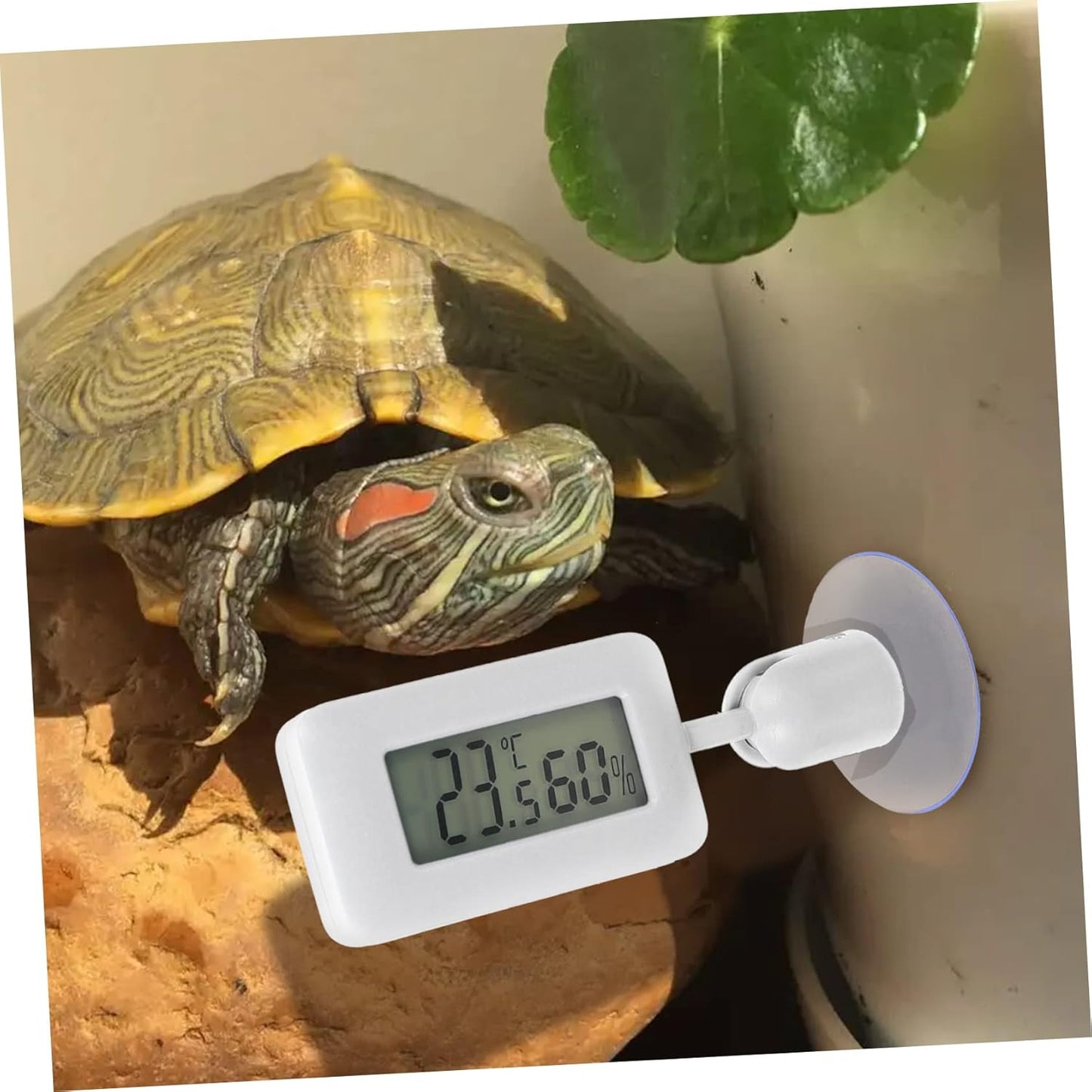 Toyvian Digital Thermohygrometer for Reptile Enclosure Snake Tank Indoor Humidity Accurate Temperature Measurement Large Display Screen Suction Cup for Easy Installation