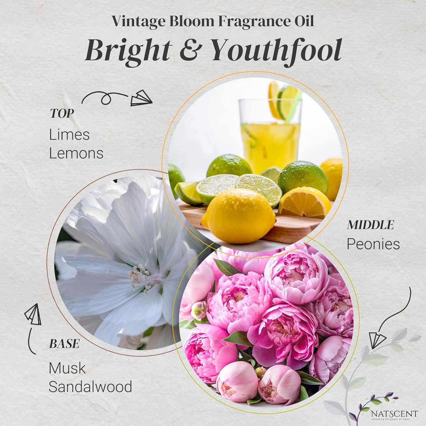 Vintage Bloom Essential Oils for Diffusers for Home, Nature-derived Peony Essential Oil, Long-Lasting & Family-Friendly Diffuser Oils Scents, IFRA Certified, Cold Air & Ultrasonic - 16 oz