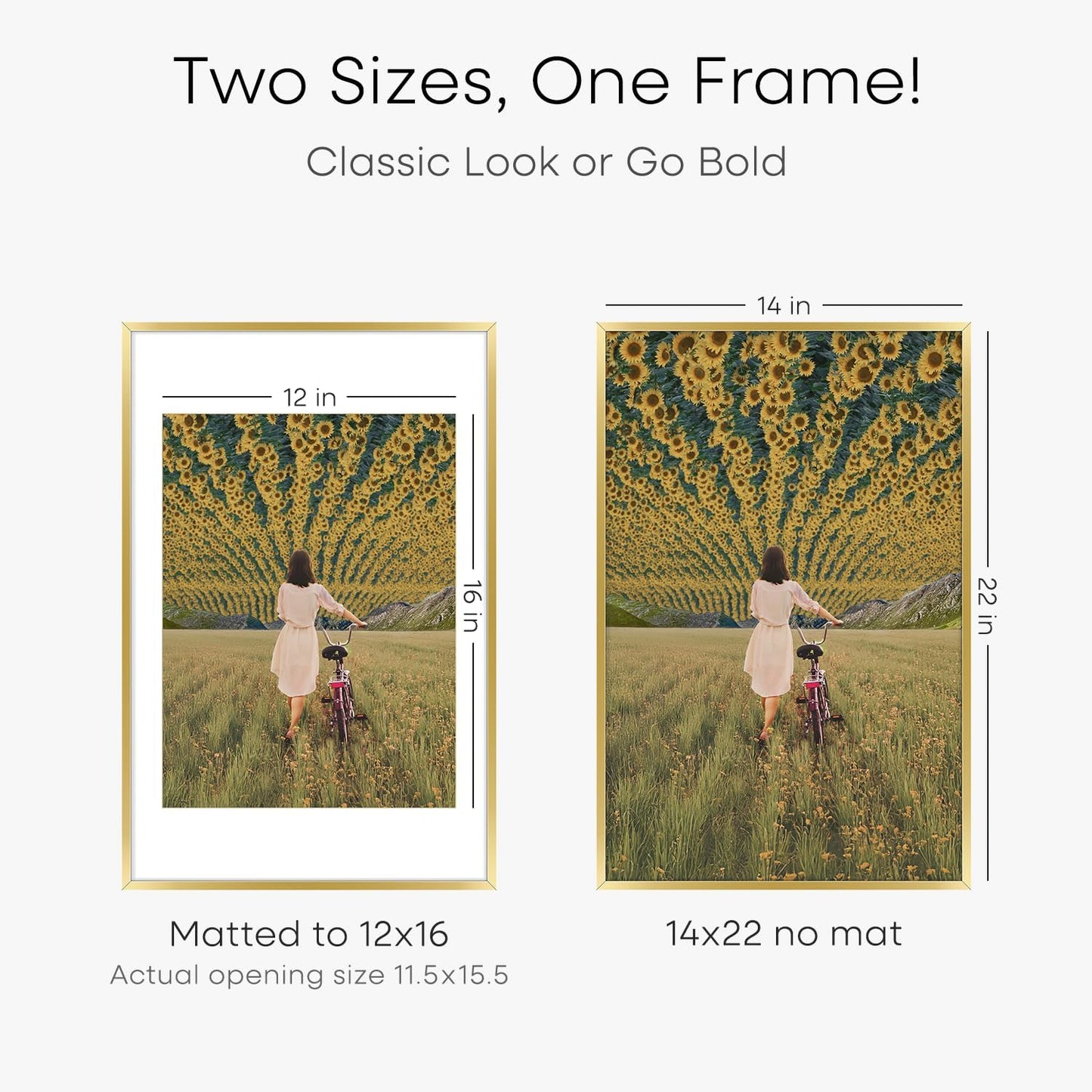 Homeforia 14x22 Picture Frame Gold, High End Metal 14x22 Poster Frames with Mat 12x16 Photo, 14 x 22 Gold Frames Matted to 12 by 16 Print, 22x14 Thin Hanging Frames, Tempered Glass, Wall Kit, Set of 2