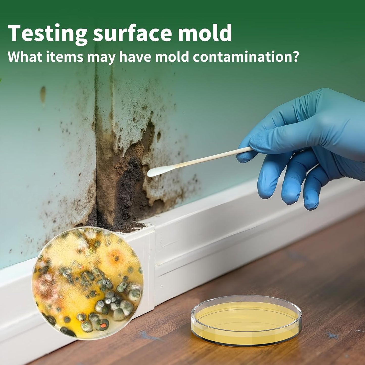 Mold Test Kit for Home -12 Simple Mold Test kit,Test HVAC System,Surfaces & Indoor Air Quality,DIY Mold Detector at Home,Includes Detailed Mold Identification Guide,air Tester