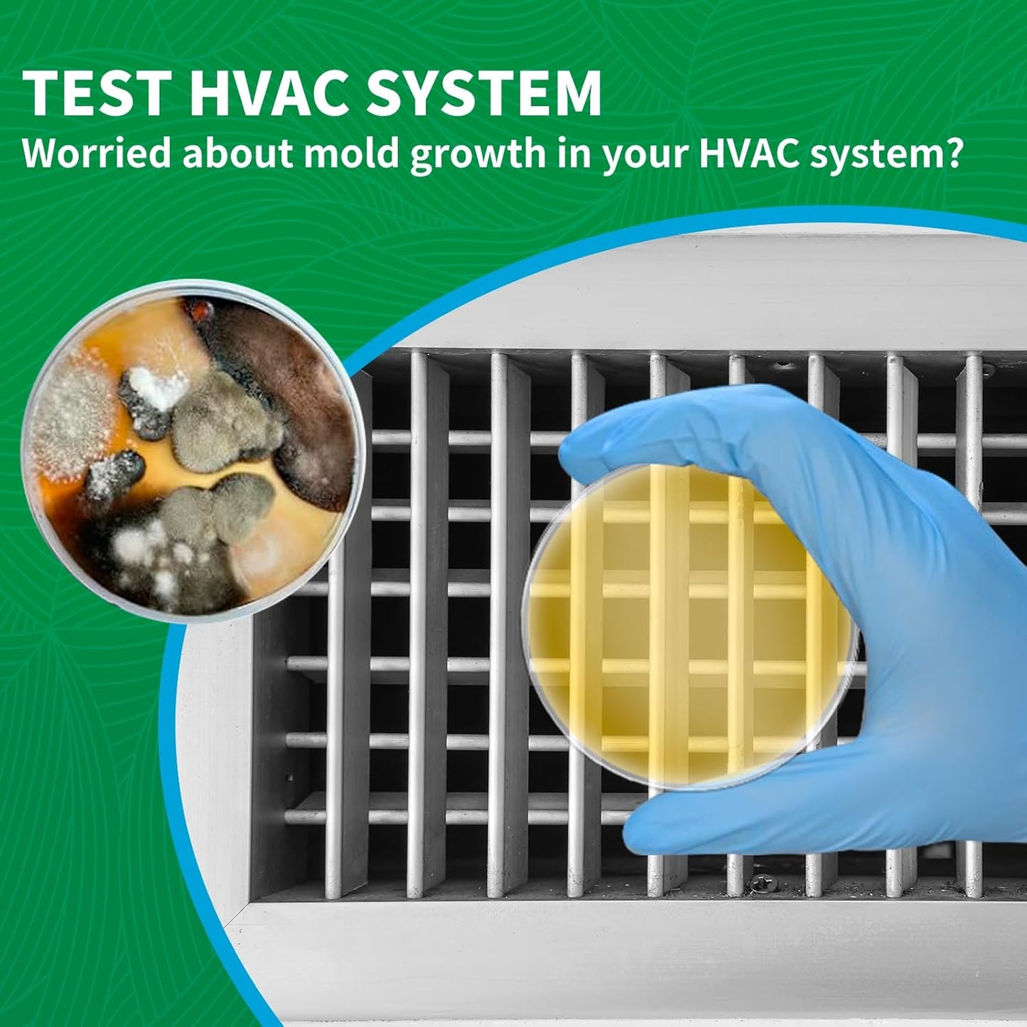 Mold Test Kit for Home - 6 Simple Mold Test kit,Test HVAC System,Surfaces & Indoor Air Quality,DIY Mold Detector at Home,Includes Detailed Mold Identification Guide,air Tester