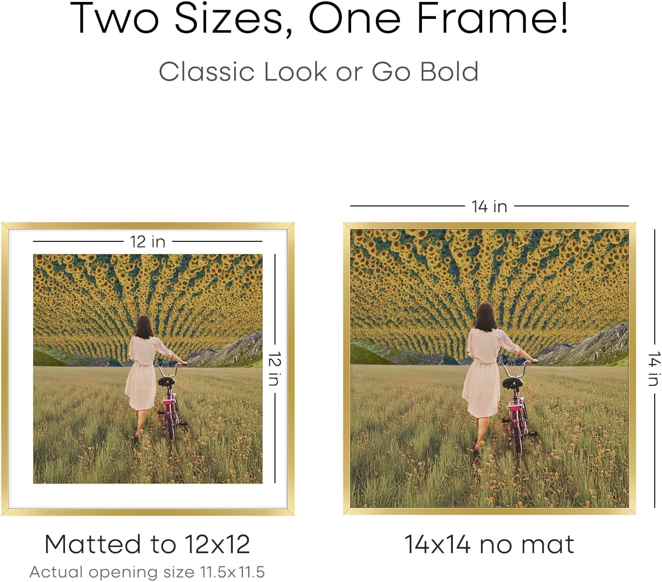 Homeforia 14x14 Picture Frame Gold, High End Metal 14 x 14 Square Poster Frame with Mat 12 x 12 Photo, 14x14 Frame Matted to 12x12 Print, 14by14 Gold Hanging Frames, Tempered Glass, Wall Kit, Set of 2