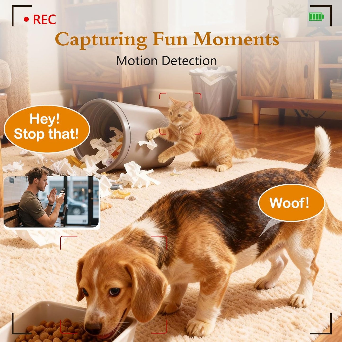 Automatic Dog Feeder with Camera WiFi: 33 Cups 5G App Control Easy Setup Cat Food Dispenser - HD 1080P Video Recording Timed Pet Feeder for Cat Dog Small-Pet