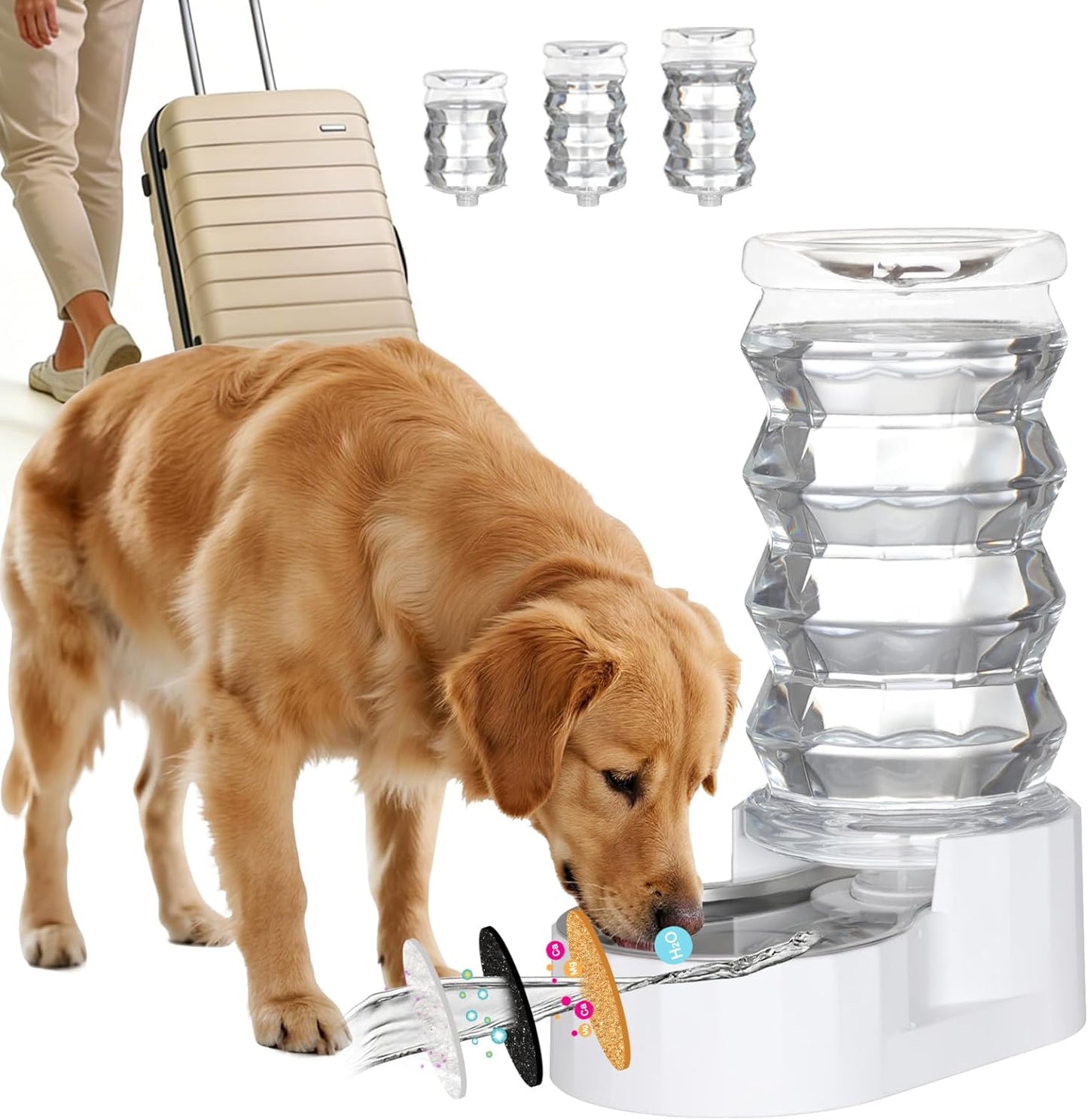 RIZZARI Large Gravity Water Dispenser: 8L Automatic Stainless Steel Dog Water Feeder with Specialized Brush and Triple Filter for Senior Pets with Spinal Problems - for Kitchen Living Room