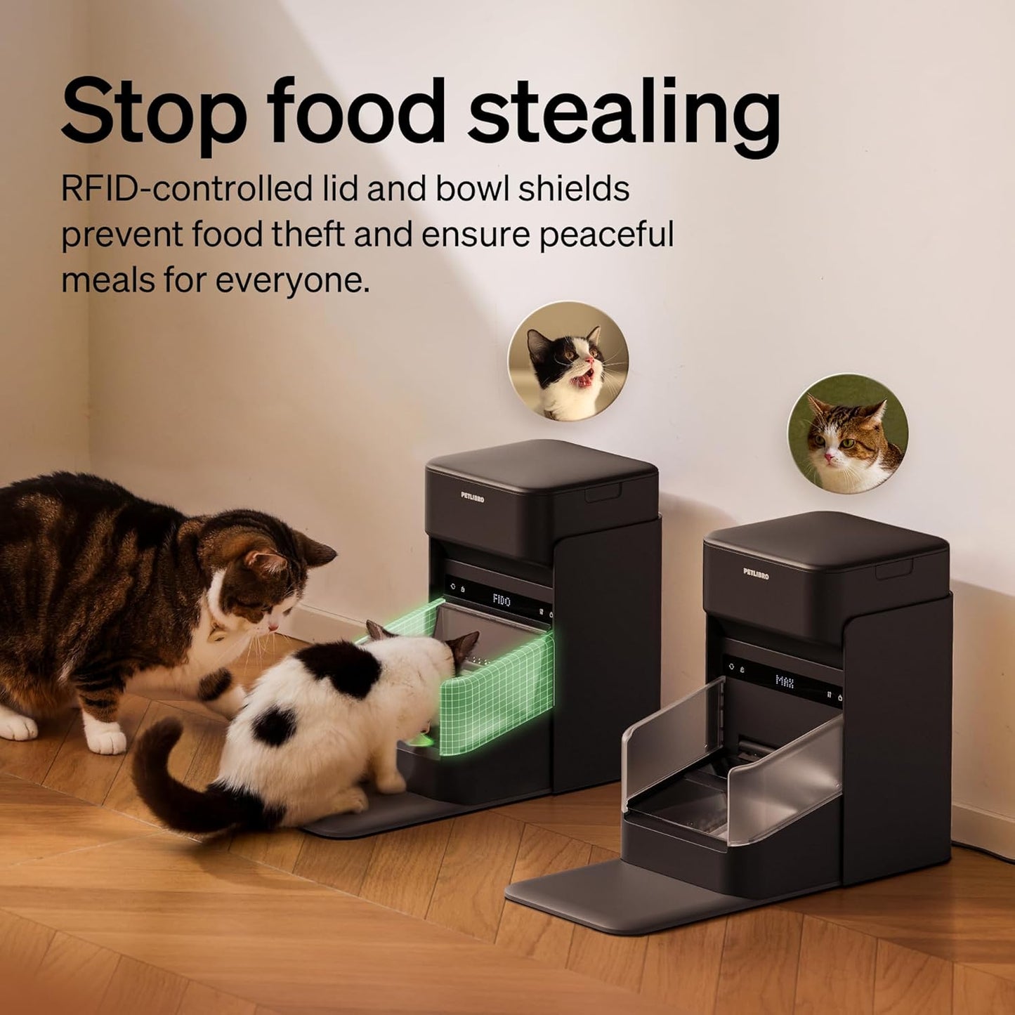 Bundle of 2 Packs PETLIBRO RFID Automatic Cat Feeder, Collar Sensor for Personalized Meals, Cats Recognition, Diet Tracking + RFID Multi Cats Water Fountain with Hydration Monitoring, x3 Collar Tags