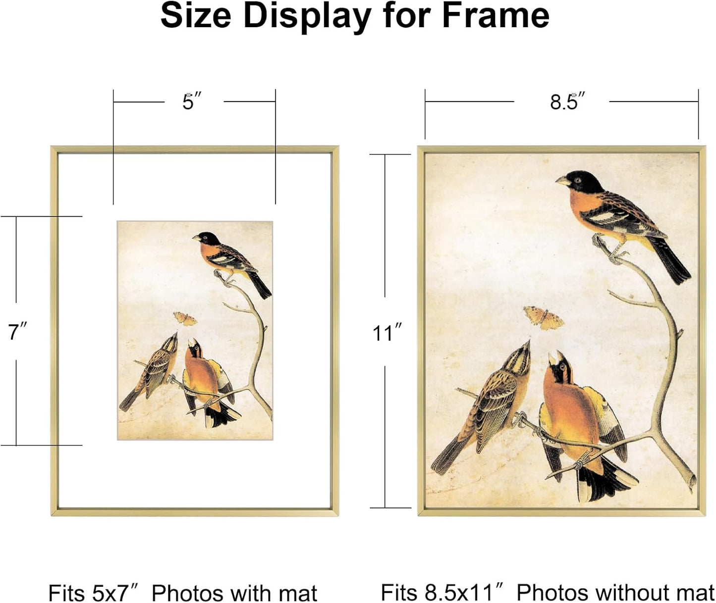 8.5x11 Picture Frame Set of 3, Brass Metal Photo Frames with HD Glass, Fits 5x7 with Mat or 8.5x11 without Mat, Wall Hanging and Table Display