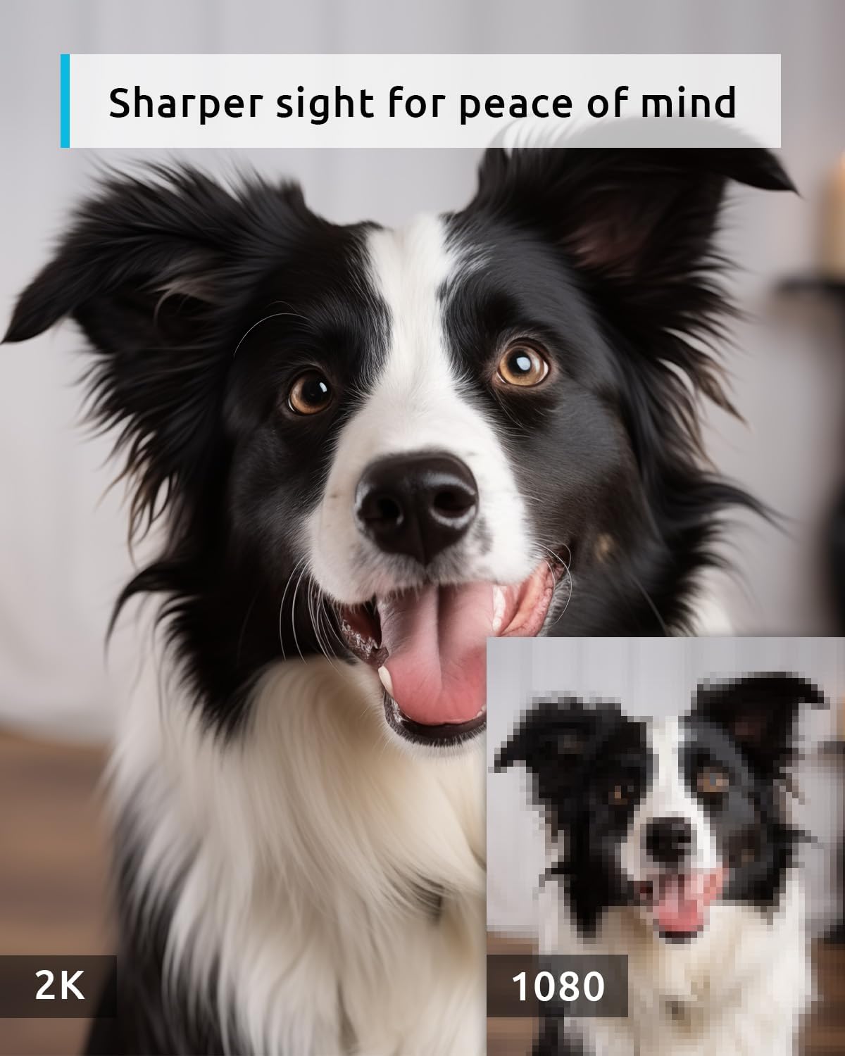 blurams 5G Pet Camera 2K, 360° PTZ Dog Camera with Phone App, Indoor Cameras for Home Security w/Dual-Band WiFi6, 2-Way Audio, Motion Tracking, Color/IR Night Vision, Siren, Cloud&SD