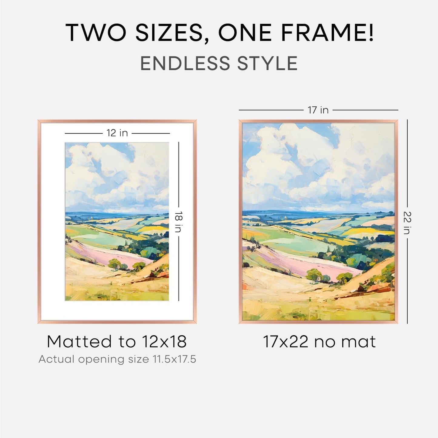 Homeforia 17x22 Picture Frame Silver, High End Metal 17x22 Frames with Mat 12x18 for Photo, 17 x 22 Silver Poster Frame Matted to 12 x 18 Print, 22x17 Hanging Frame, Tempered Glass, Wall Kit, Set of 1