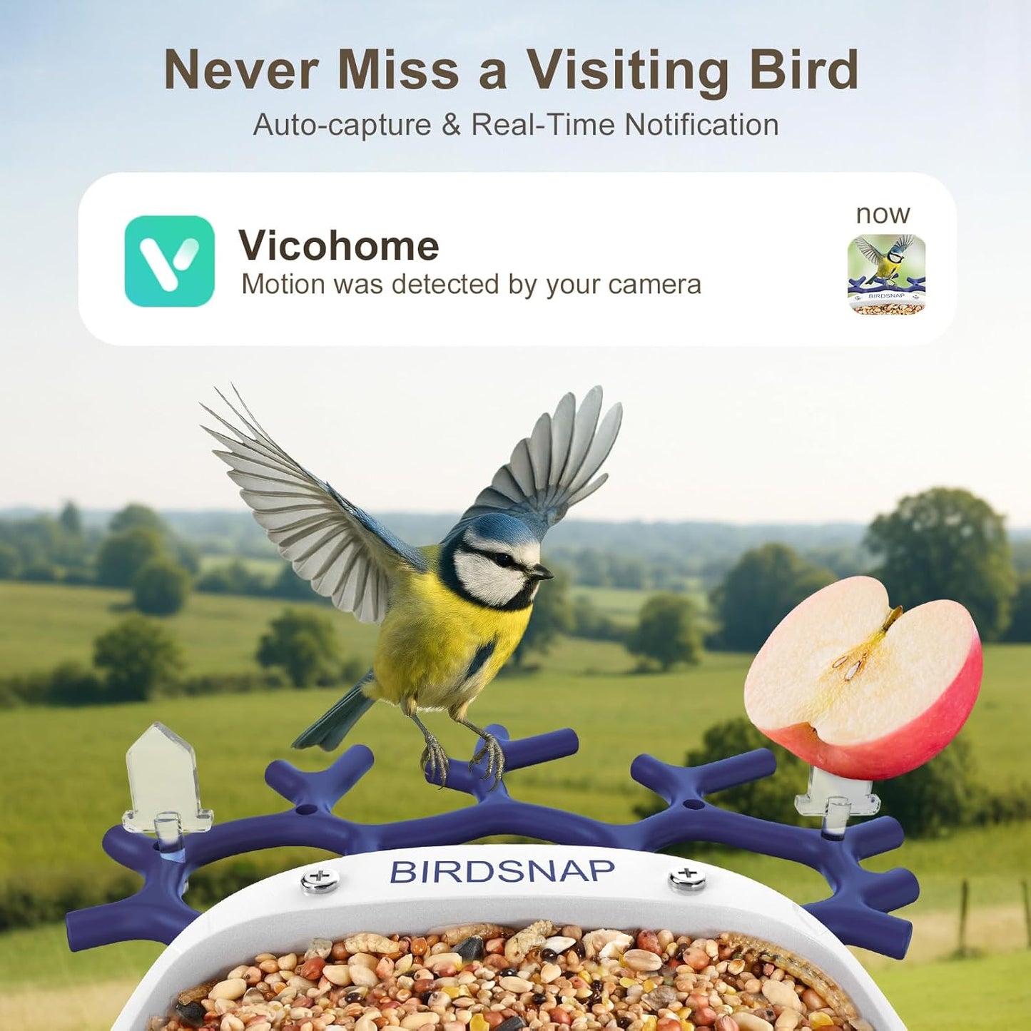 birdsnap® P33 - Smart Bird Feeder with Camera Solar Powered, 2K Video Bird Camera Feeder Live with 32GB Card, AI Identify Feather Species, Auto Record in Backyard, Ideal Gift for Birds Lover