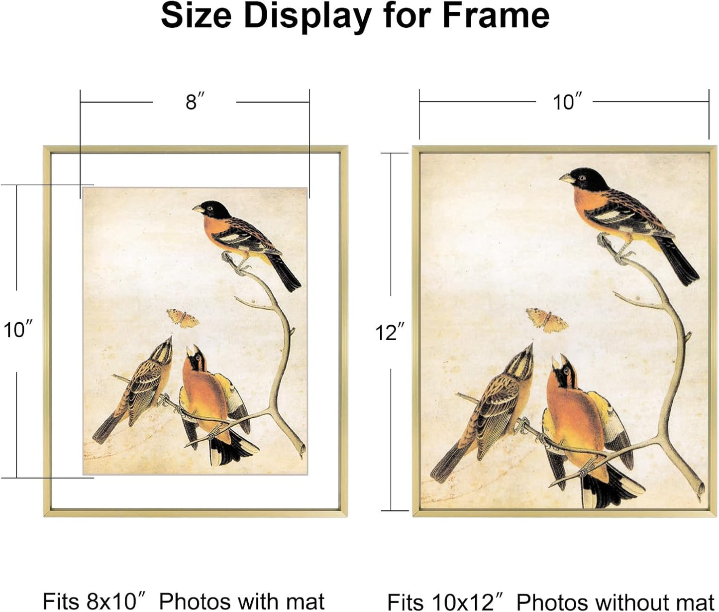 10x12 Picture Frame, Brass Aluminum Metal Photo Frames with HD Glass, Fits 8x10 with Mat or 10 x 12 without Mat, Display for Wall, 1 Pack