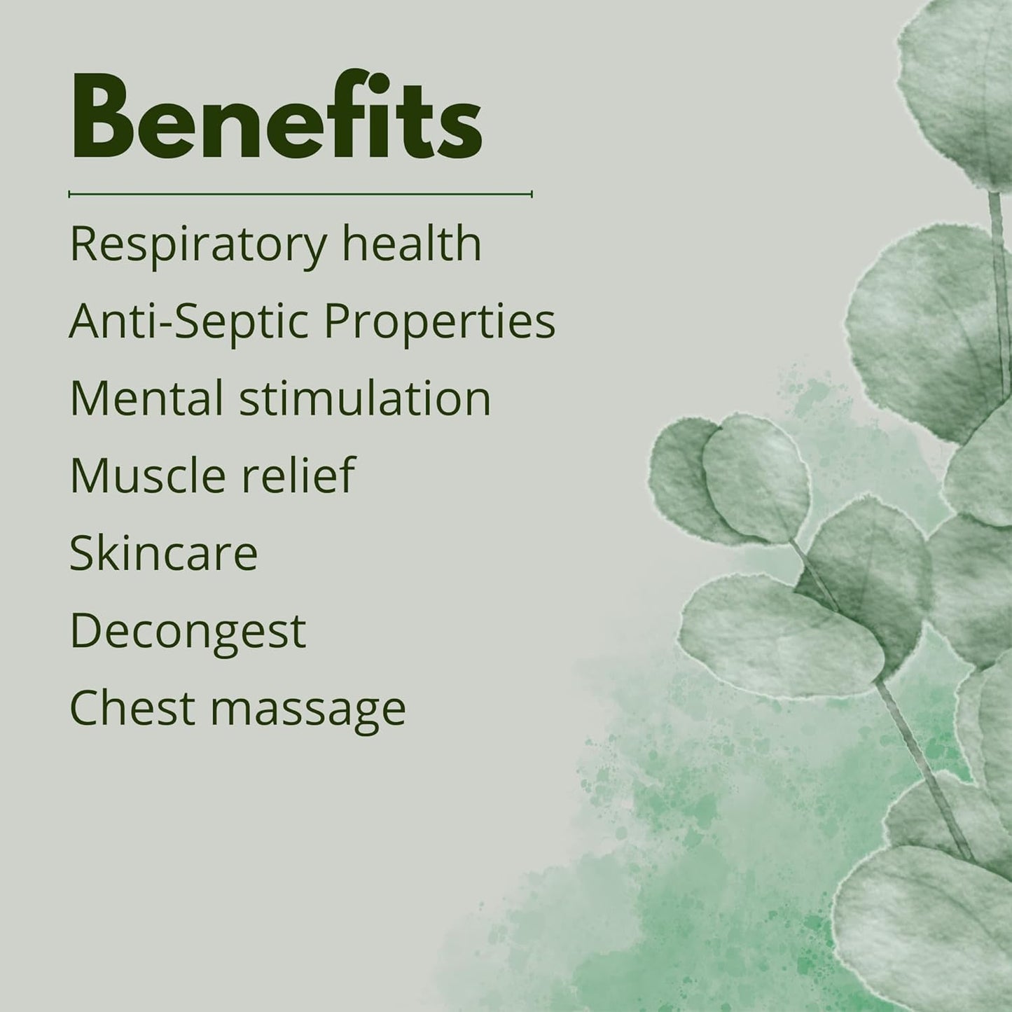 Eucalyptus Globulus Essential Oil by One Arome – Pure, Undiluted & Steam-Distilled Herbal Aroma for Diffusers for Home, Massage (Dilute), Cleaning & Linen Refresh (Pack of 6 × 0.34 fl oz)