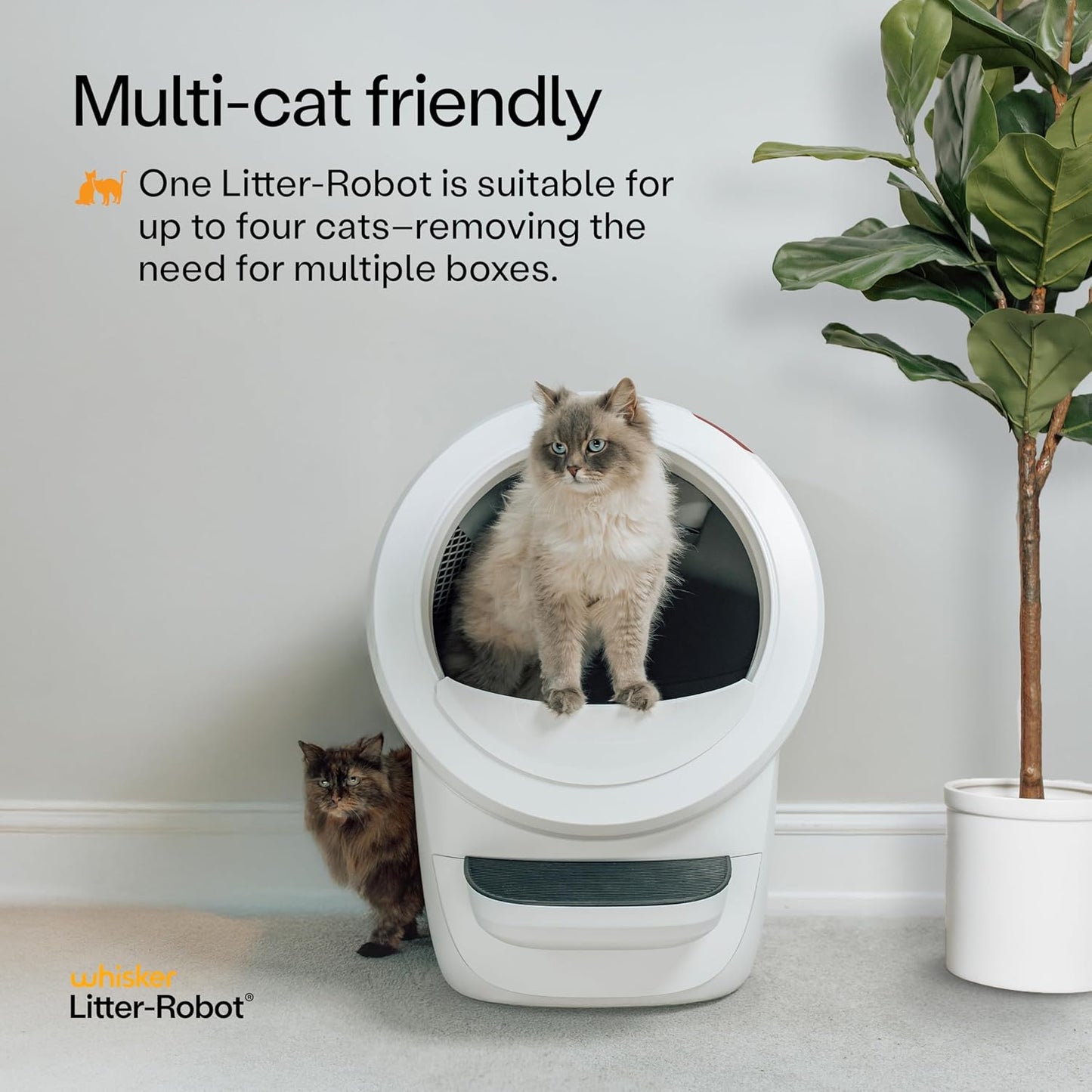 Litter-Robot 4 Supply & Accessory Bundle by Whisker, White- Automatic Self-Cleaning Cat Litter Box, Includes Litter-Robot 4, Ramp, Mat, 3 OdorTrap Packs, 10 Liners, 30 Wipes, & 2 Carbon Filters
