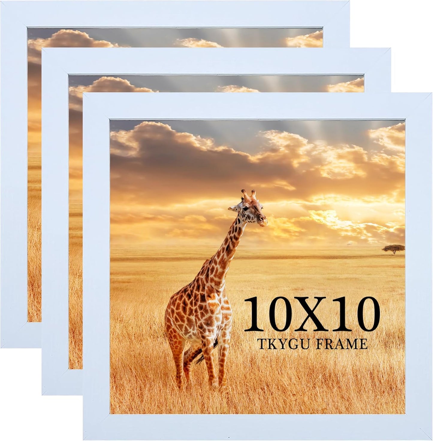 10x10 Picture Frame Set of 3, white Wooden Frame 10 by 10 Square Wall Gallery Poster Photo frame with Durable Shatter Resistant Plexiglass for Wall Hanging best gift