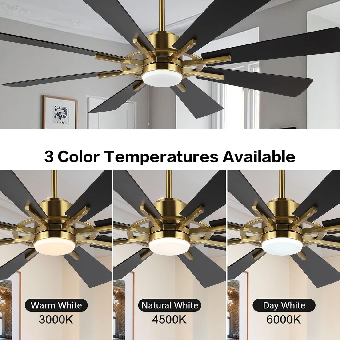 WINGBO 60" DC Ceiling Fan with Lights and Remote Control, Gold and Black Ceiling Fan, 8 Plywood Blades, 6-Speed Reversible DC Motor, Modern Ceiling Fans Indoor for Kitchen Bedroom Living Room