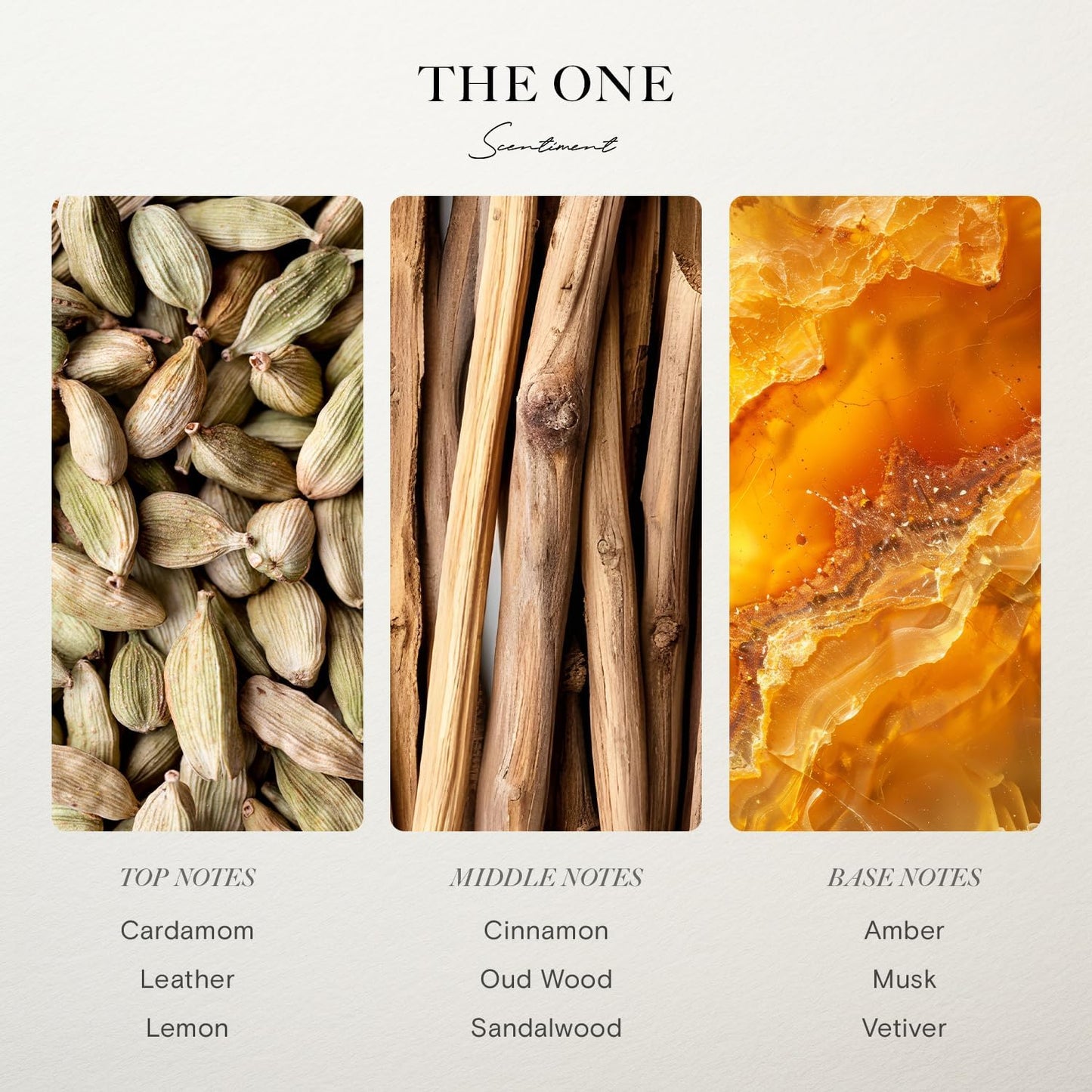 Scentiment Diffuser Oil - The One | Inspired by Luxury Five Star Hotel Lobby Scent | Aromatherapy Fragrance Oil | Notes of Cardamom, Leather, Lemon with Cinnamon & Sandalwood (120ml)