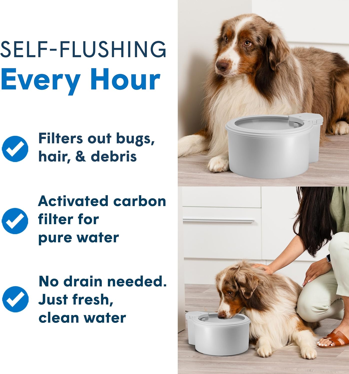 Always Full® 7" Pet Water Bowl and Bottle Pump Bundle, Self-Refilling, Clean Filtered Water, App-Enabled Hydration Monitoring, Easy Upgrade to Wall Unit, Cat and Dog Water Bowls