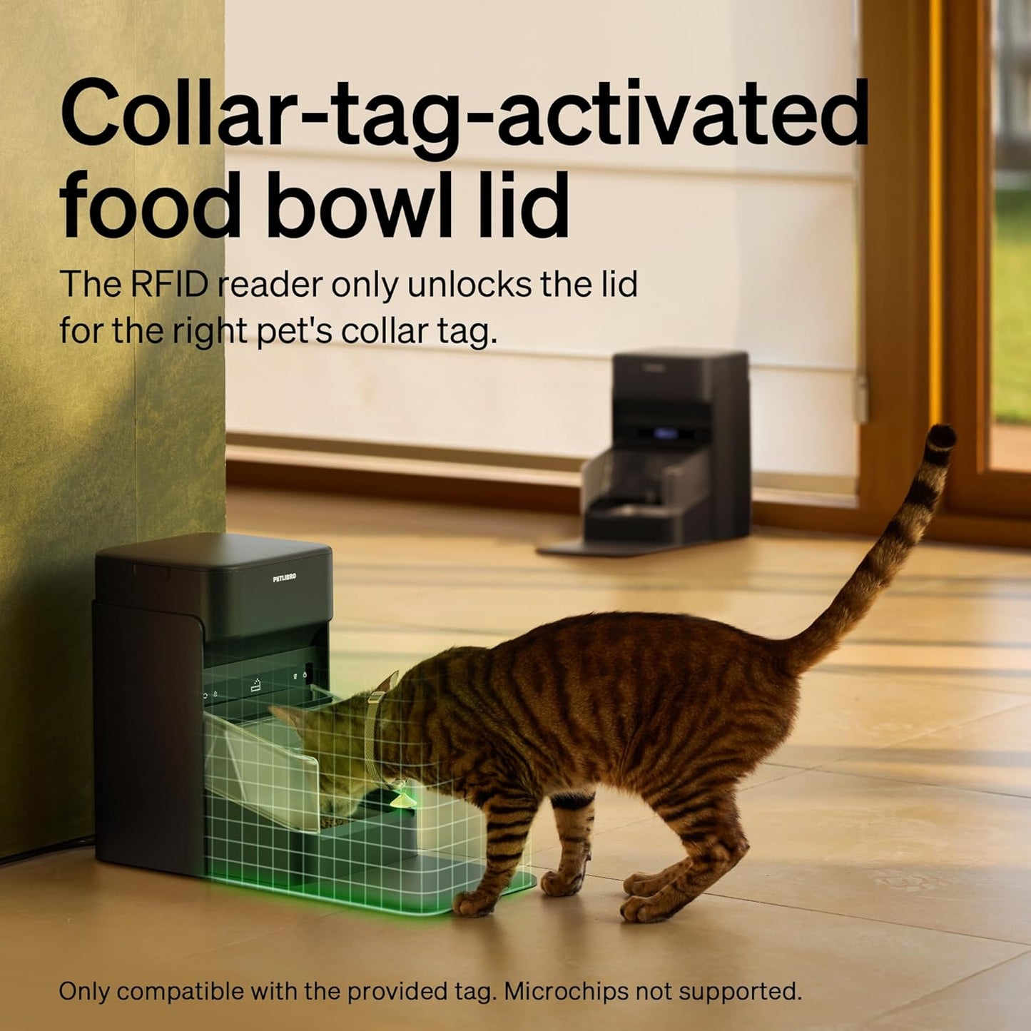 Bundle of PETLIBRO RFID Automatic Cat Feeder, Collar Sensor for Personalized Meals, Cats Recognition, Diet Tracking + RFID Multi Cats Water Fountain with Hydration Monitoring, x5 Collar Tags