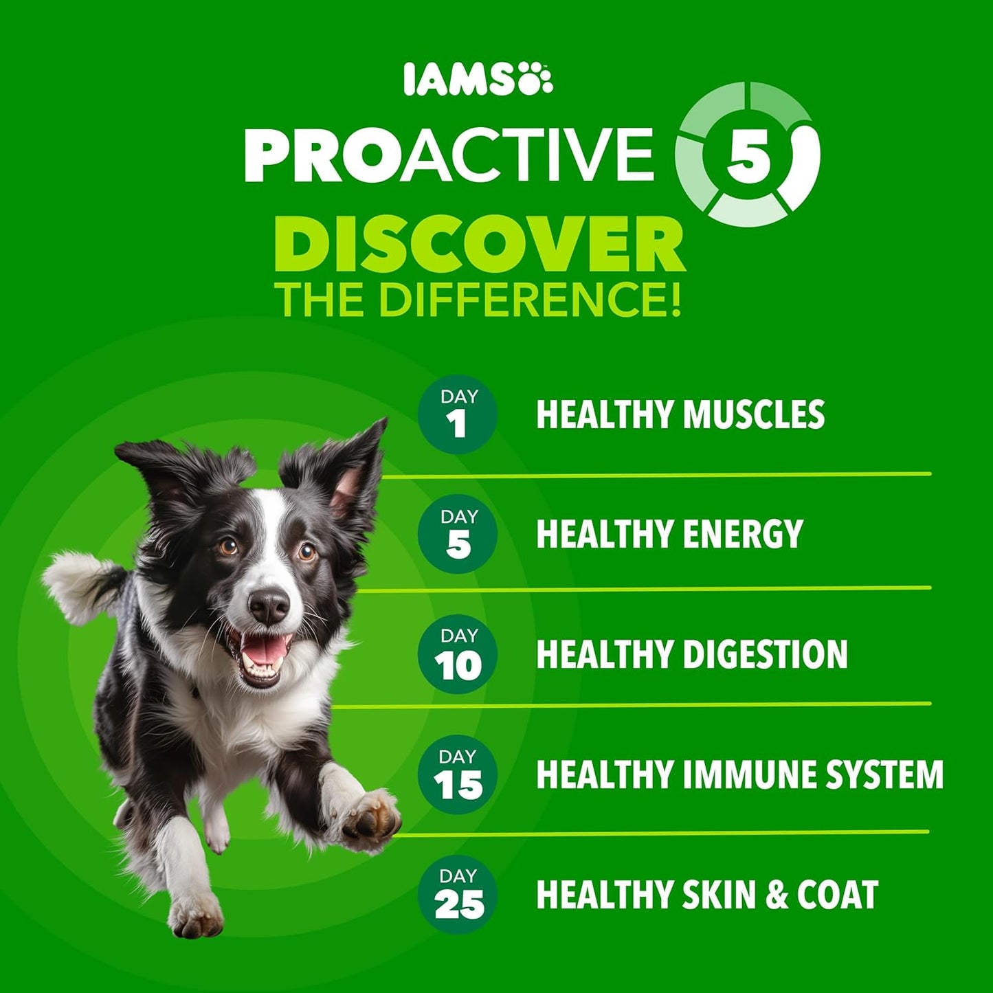 IAMS Proactive Health Adult Minichunks Dry Dog Food Chicken & Whole Grain Recipe, 5 lb. Bag