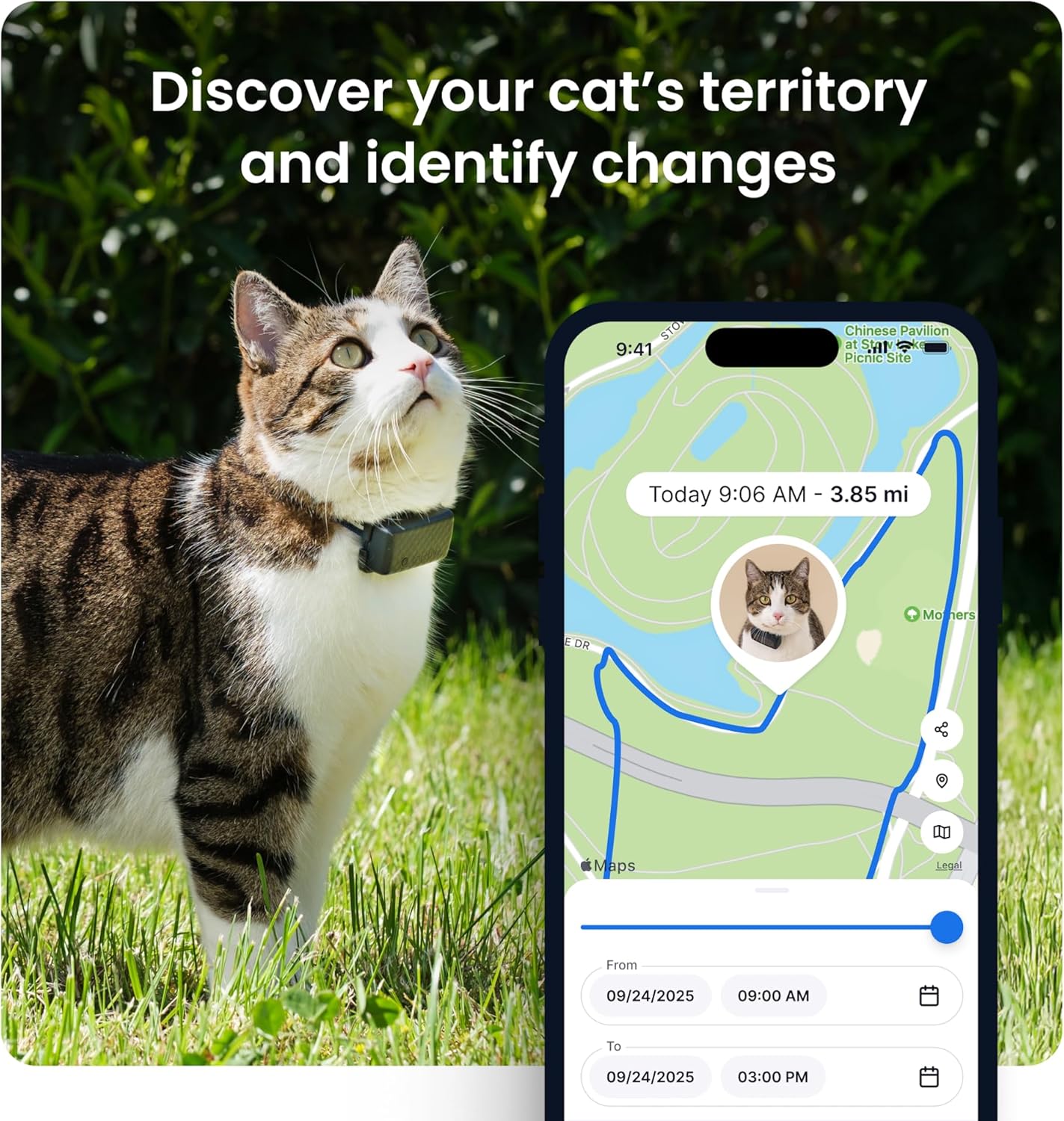 Tractive XL Smart Dog GPS Tracker | Live Pet Tracker with Virtual Fence | Vital Signs Monitoring of Heart & Respiratory Rate | Up to 1-Month Battery Life | Dog Collar Attachment (Green)