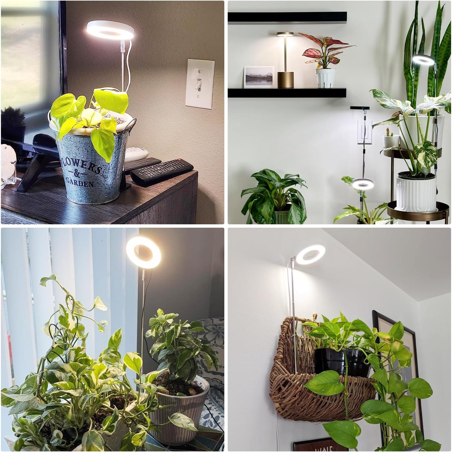Grow Lights for Indoor Plants, Full Spectrum Small Halo Plant Grow Light with Base, 48 LED Growing Lamp 10 Levels Dimmable Auto On Off 3/9/12 Hrs Timer for Small Plants, White, 3.5in, 5 Pack