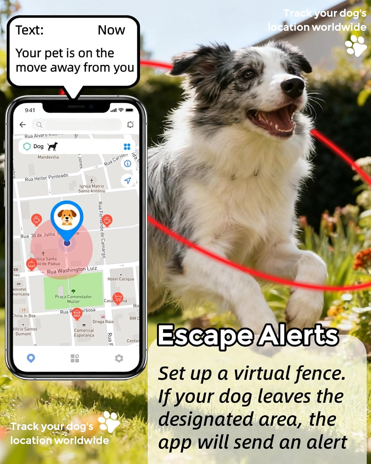 Smart GPS Dog Tracker, Live Pet Tracker, Virtual Fence, 10-Day Battery Life, Tensile Dog Collar, IP67 Water-Resistant, Easy Operation via Proprietary APP, Anti-Lost Tracking Device