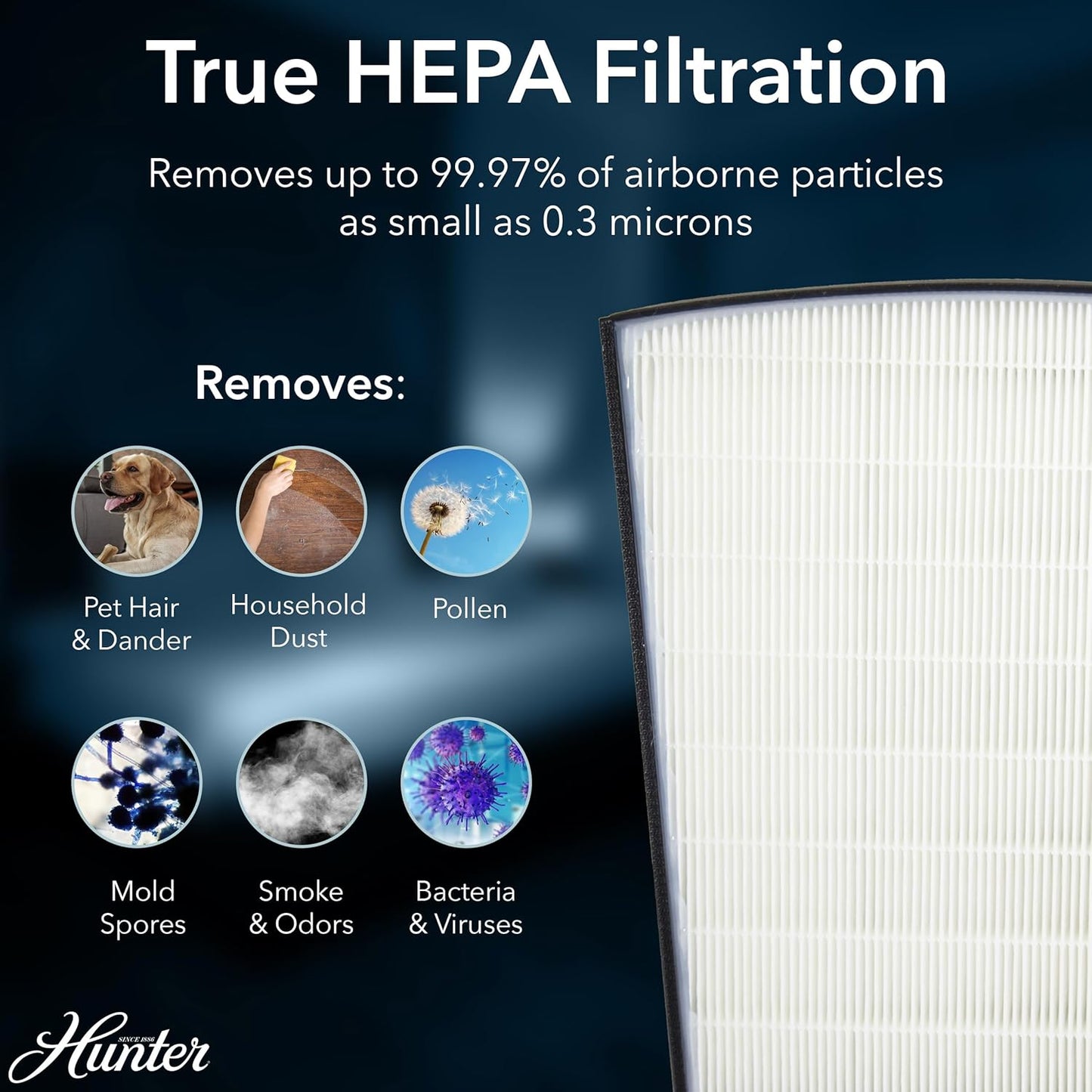 Hunter HP800 Air Purifiers for Home Large Room and Bedroom. True HEPA Air Purifier for Pets, Odors, Allergens, Smoke, Dust, VOC's. 4 Fan Speeds, Quiet Sleep Mode. Cleans 2585 Ft² per Hour. Black