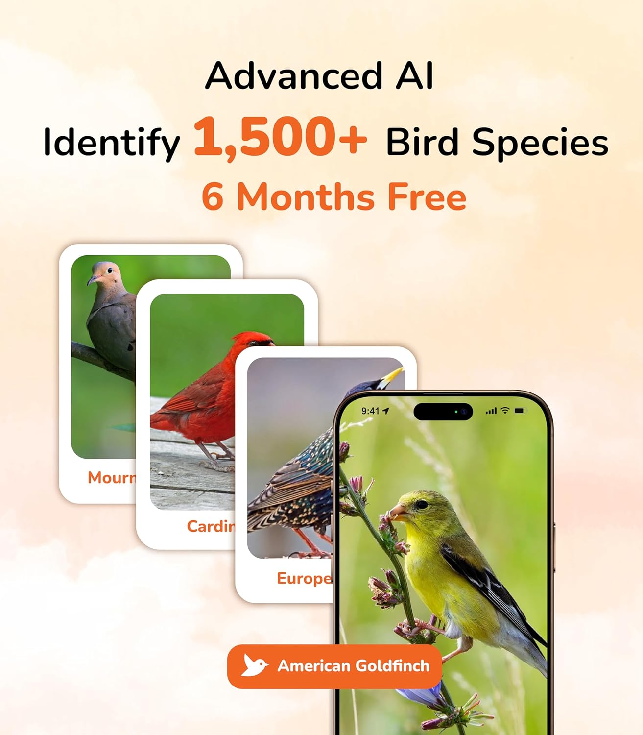 Sensforge Smart AI Bird Feeder Camera, 2.5K HD Live View, Solar-Powered Wooden Outdoor Feeder with AI Recognition, Weatherproof, App Notifications - Ideal for Bird Lovers, Parents & Kids