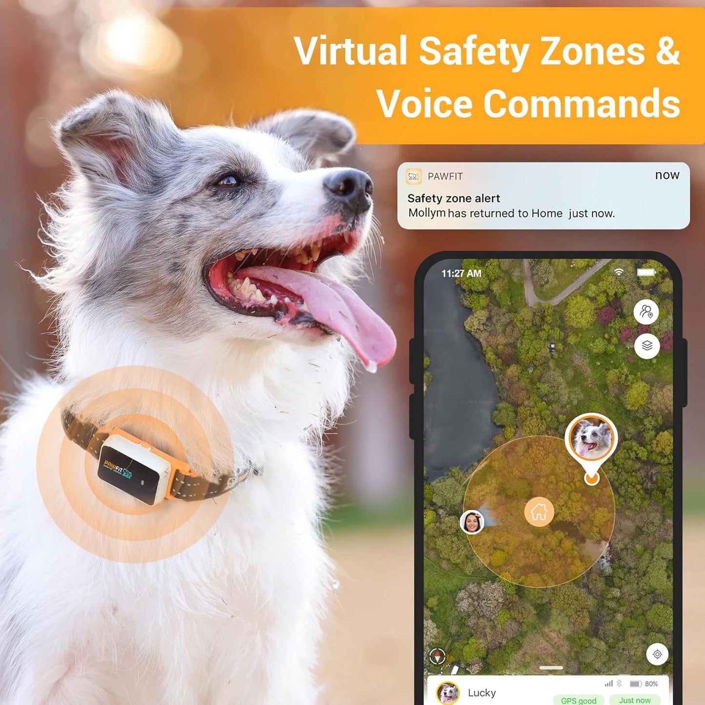 Pawfit 3 GPS Pet Tracker GPS Dog Tracker 4G Live Tracking, Smart Alerts, Fully Waterproof Activity Monitor for Pets, Unlimited Range, Remote Voice Recall, Fits All Collars, 30 Day Free Subscription