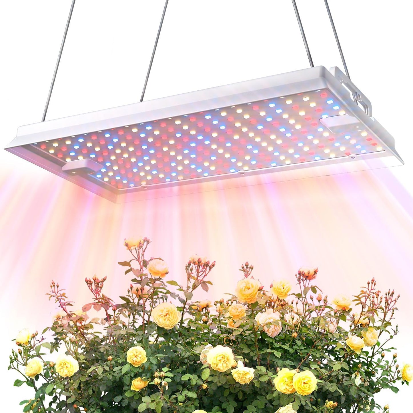 Plant Grow Light, [Smart APP & Expansive 2x3 Ft Coverage] Genuine 100W Output LED Full Spectrum for Indoor Plants, 8-Level Brightness, Hanging Use with Remote Control（Hanging Use）