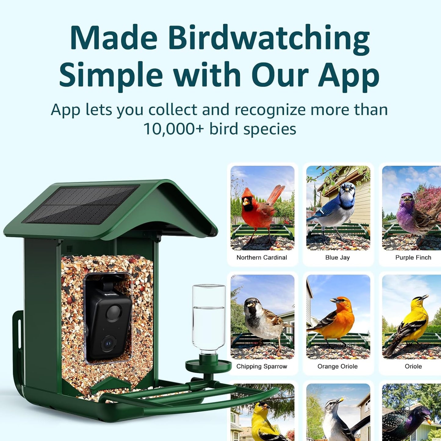BIRDLEGEND® Bird Feeder with Camera Solar Powered, 2K Portrait Live Free AI Forever Instant Arrival Alerts with 64GB Card, Smart Camera Birds Feeders Wireless Outdoor Gift for Bird Lover, 2.4G WiFi