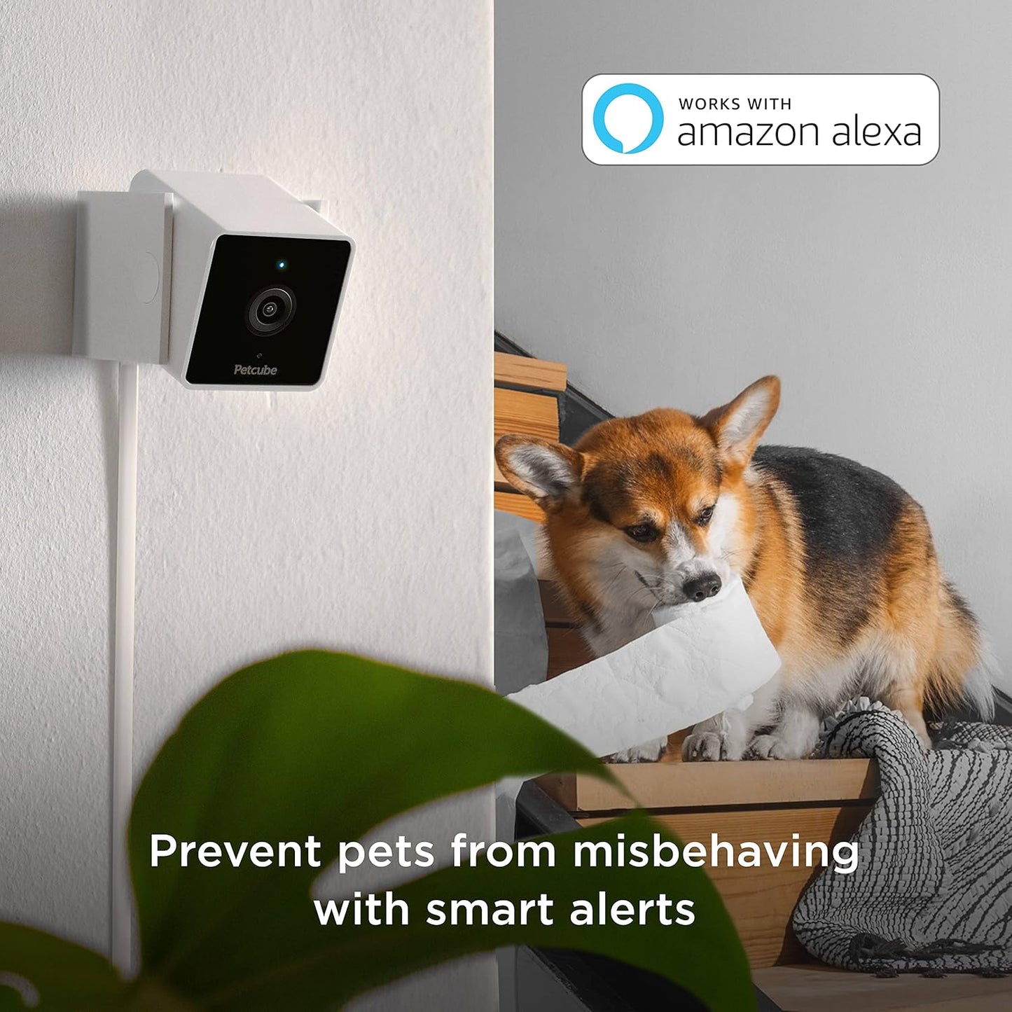 Petcube Cam Indoor Home Security Camera with 1080p HD Video, Two-Way Audio, Motion Detection, and Phone App, Night Vision Wi-Fi Camera for Apartment Security, Video Baby Monitor