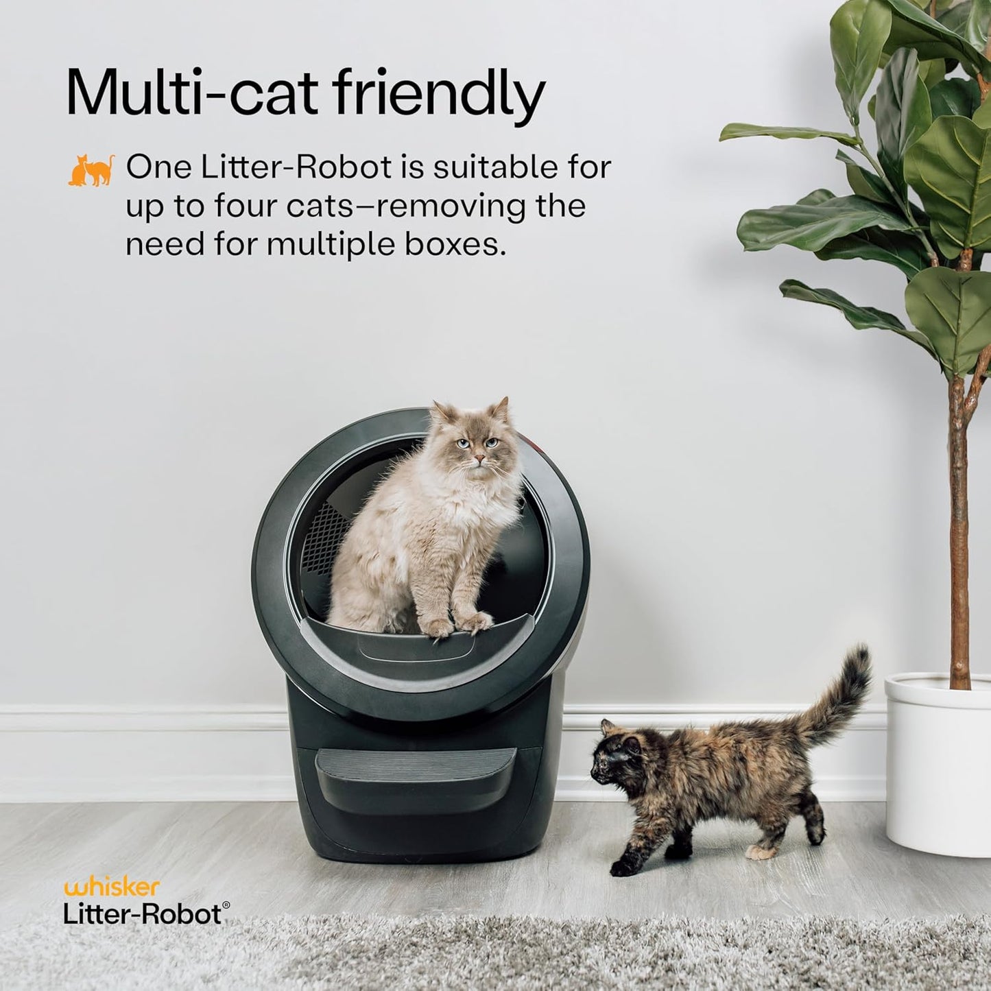Litter-Robot 4 Supply & Accessory Bundle by Whisker, Black- Automatic Self-Cleaning Cat Litter Box, Includes Litter-Robot 4, Ramp, Mat, 3 OdorTrap Packs, 10 Liners, 30 Wipes, & 2 Carbon Filters
