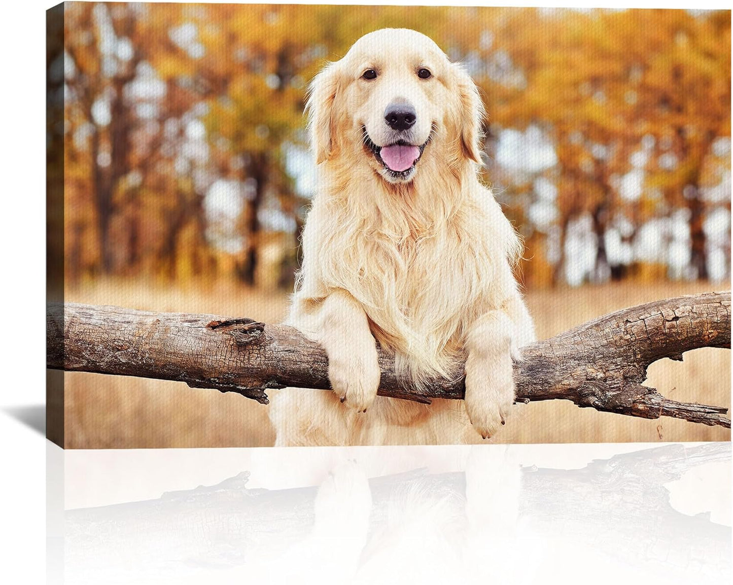 Custom Canvas Prints with Your Photos Personalized Photo Canvas Print Wall Art Customized Canvas Picture Frame Gifts for Pet Baby Family Mom Dad Men Women Couple Boyfriend Girlfriend Framed 12x8