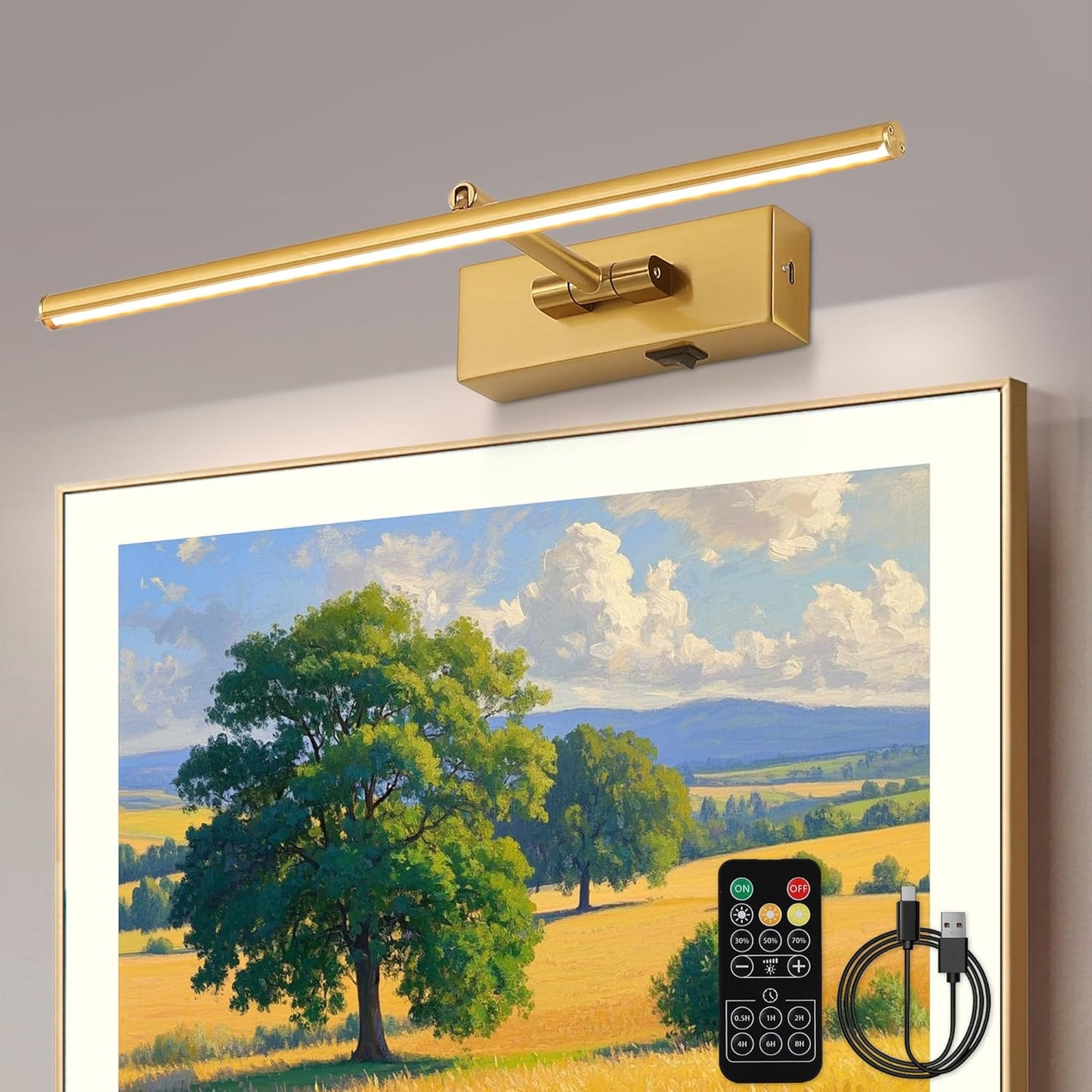 Battery Operated Picture Light with Wireless Remote 3CCT Dimmable Gold Wall Art Lights for Paintings 3 Color Rechargeable cordless decor Gallery Light 16’‘ Artwork Lighting for Canvas Timer Function