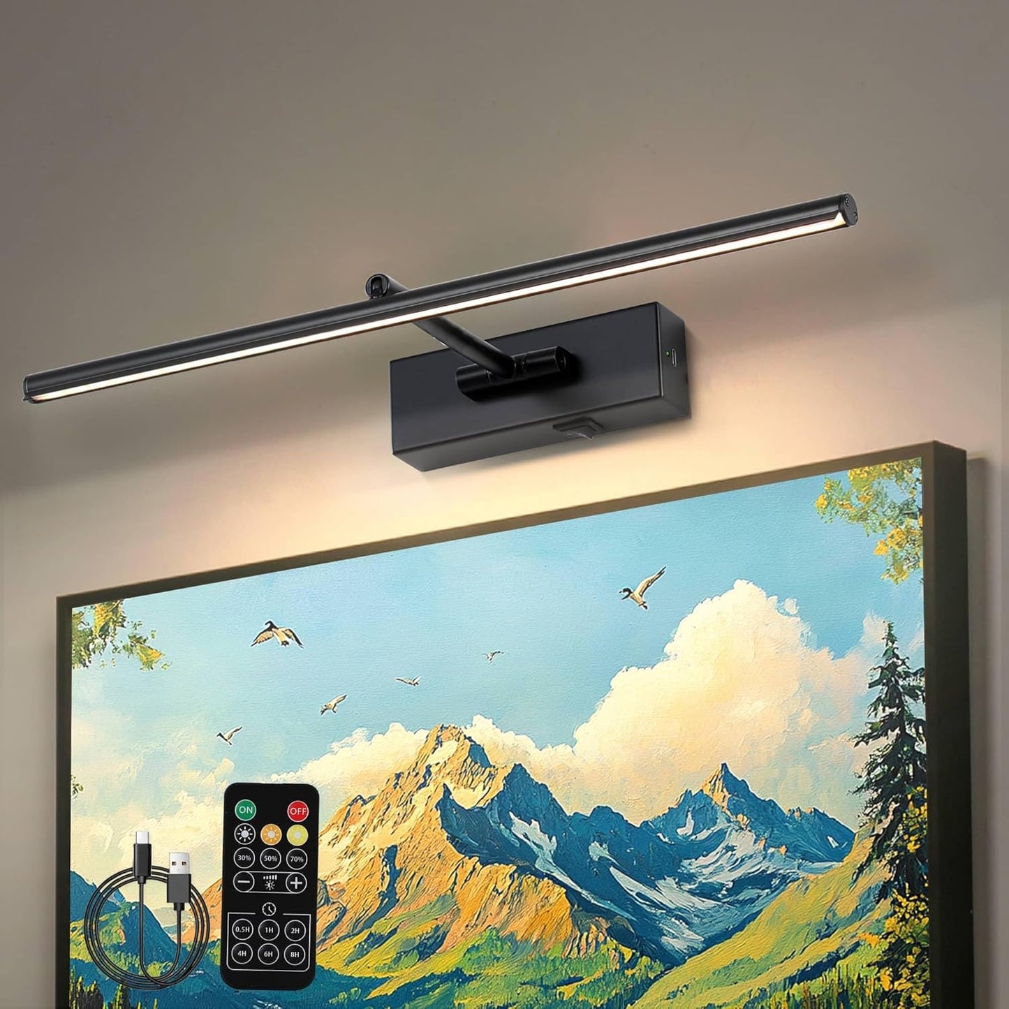 Battery Operated Picture Light with Wireless Remote 3CCT Dimmable Black Wall Art Lights for Paintings Rechargeable Home Decor Gallery Light 20'' Artwork Lighting for Canvas Timer Function