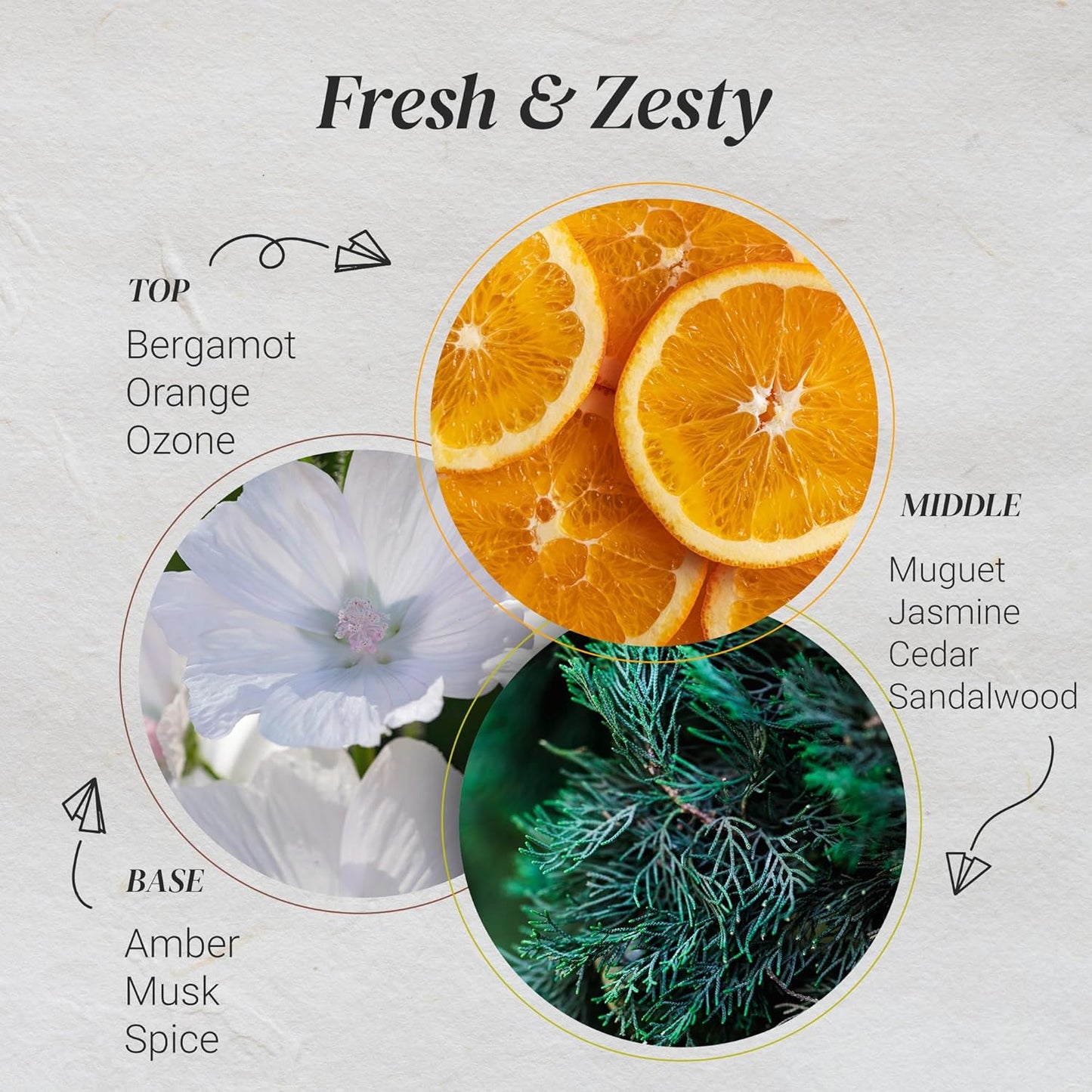 Citrus Burst Essential Oils for Diffusers for Home, Nature-derived Peony Essential Oil, Long-Lasting & Family-Friendly Diffuser Oils Scents, IFRA Certified, Cold Air & Ultrasonic - 0.33 oz