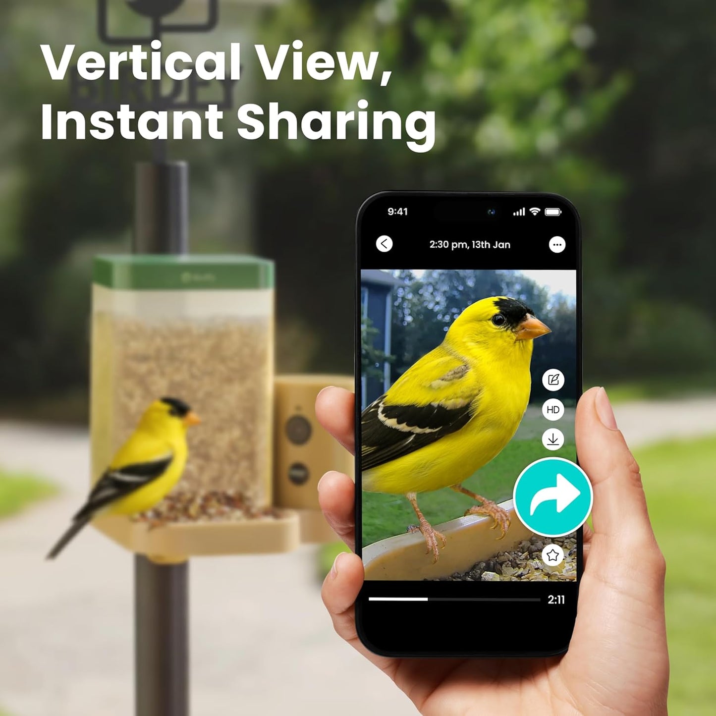 Birdfy Smart Bird Feeder with Camera for Rookie, Camera Bird Feeder Dual Night Vision, AI Recognition IP66 Waterproof for BirdLovers (Lifetime Free AI)