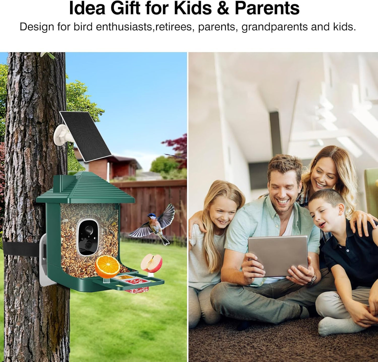 Bird Feeder with Camera,Smart Watching Birds,AI Identify Species 2K Live Video,2.4GHZ WiFi Solar Birds House Cameras for Outdoors,Motion Detection Instant Arrival Alerts,Ideal Present for Birds Lovers